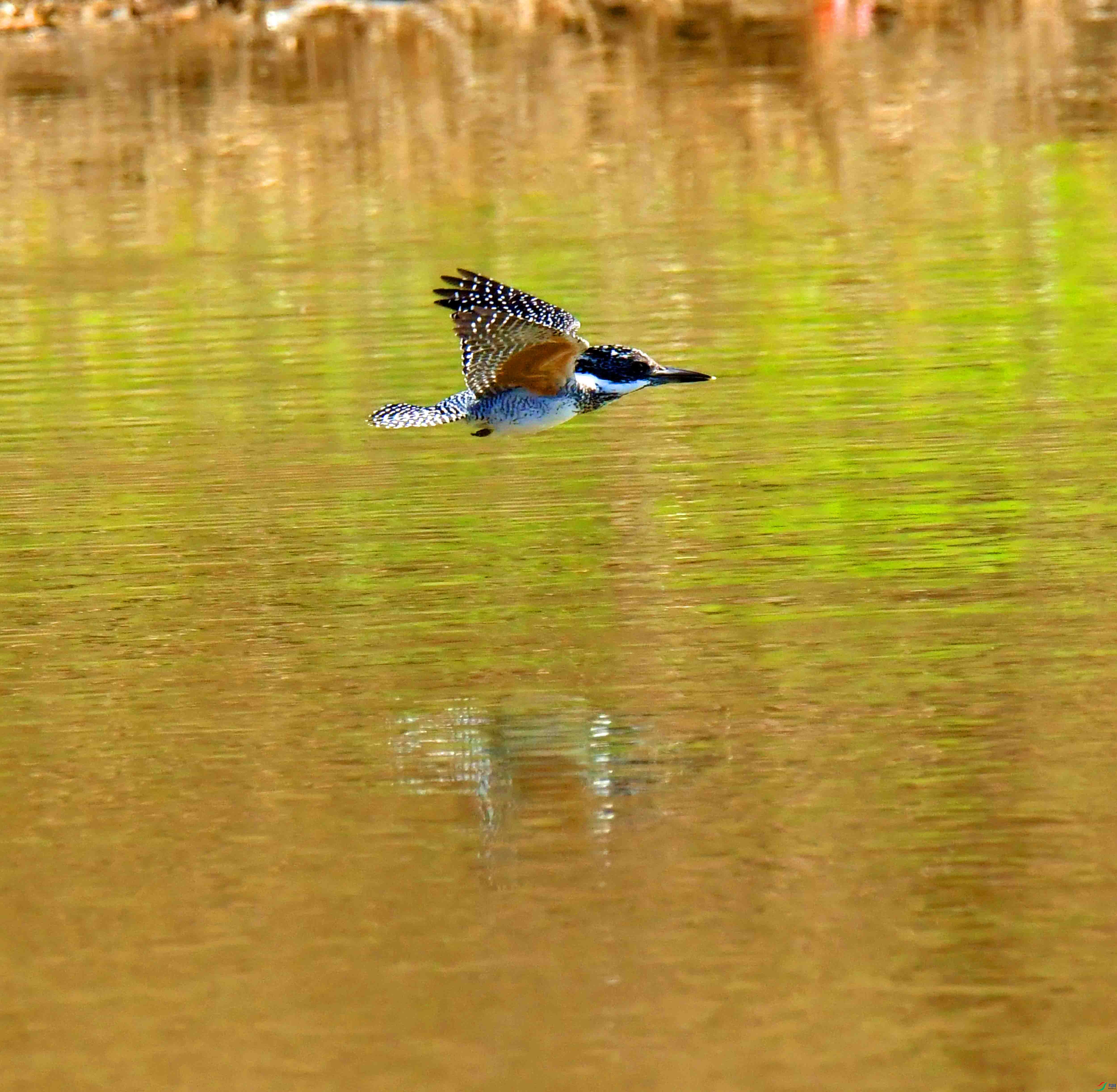 DSC_8649.JPG