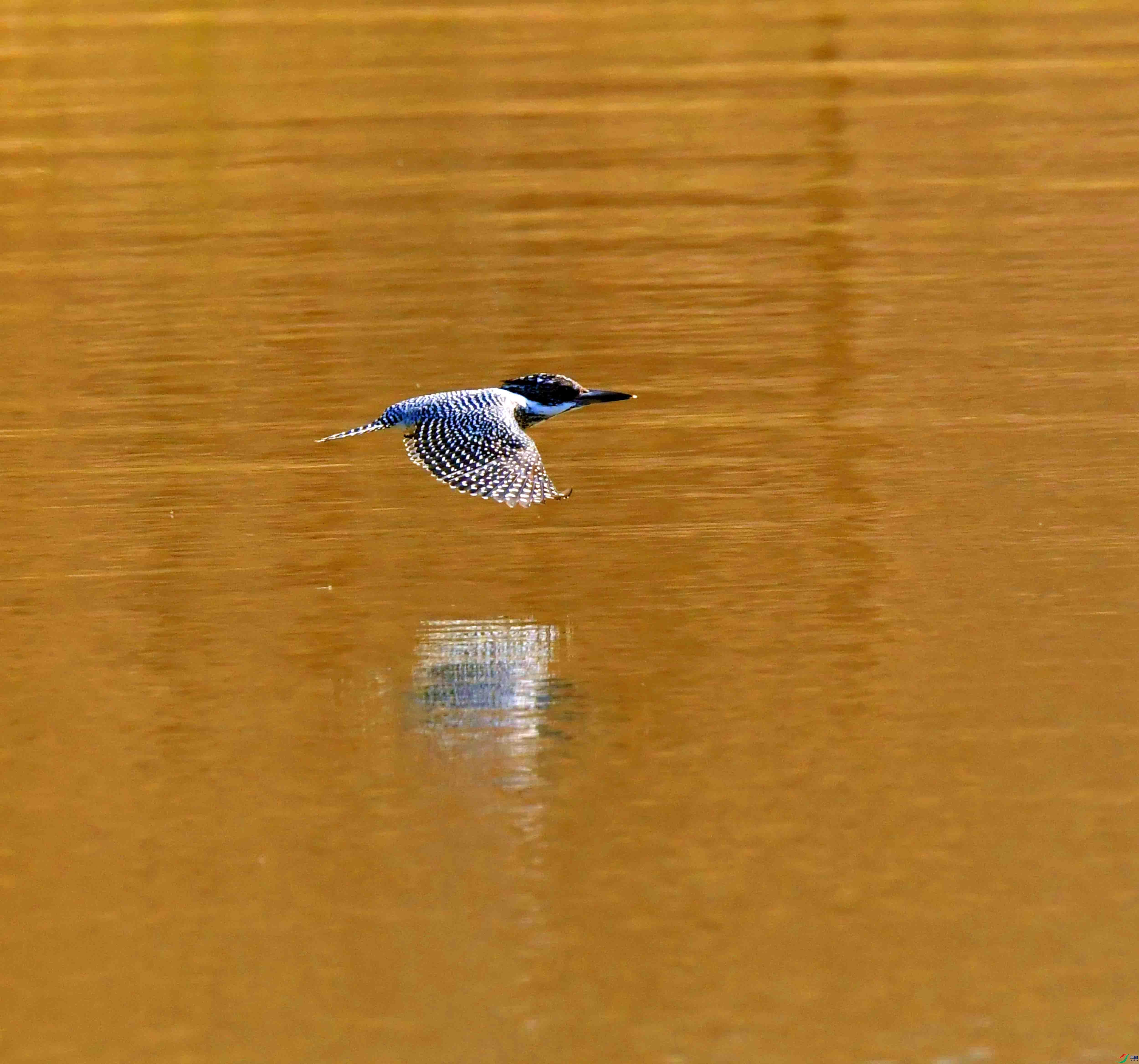 DSC_8655.JPG
