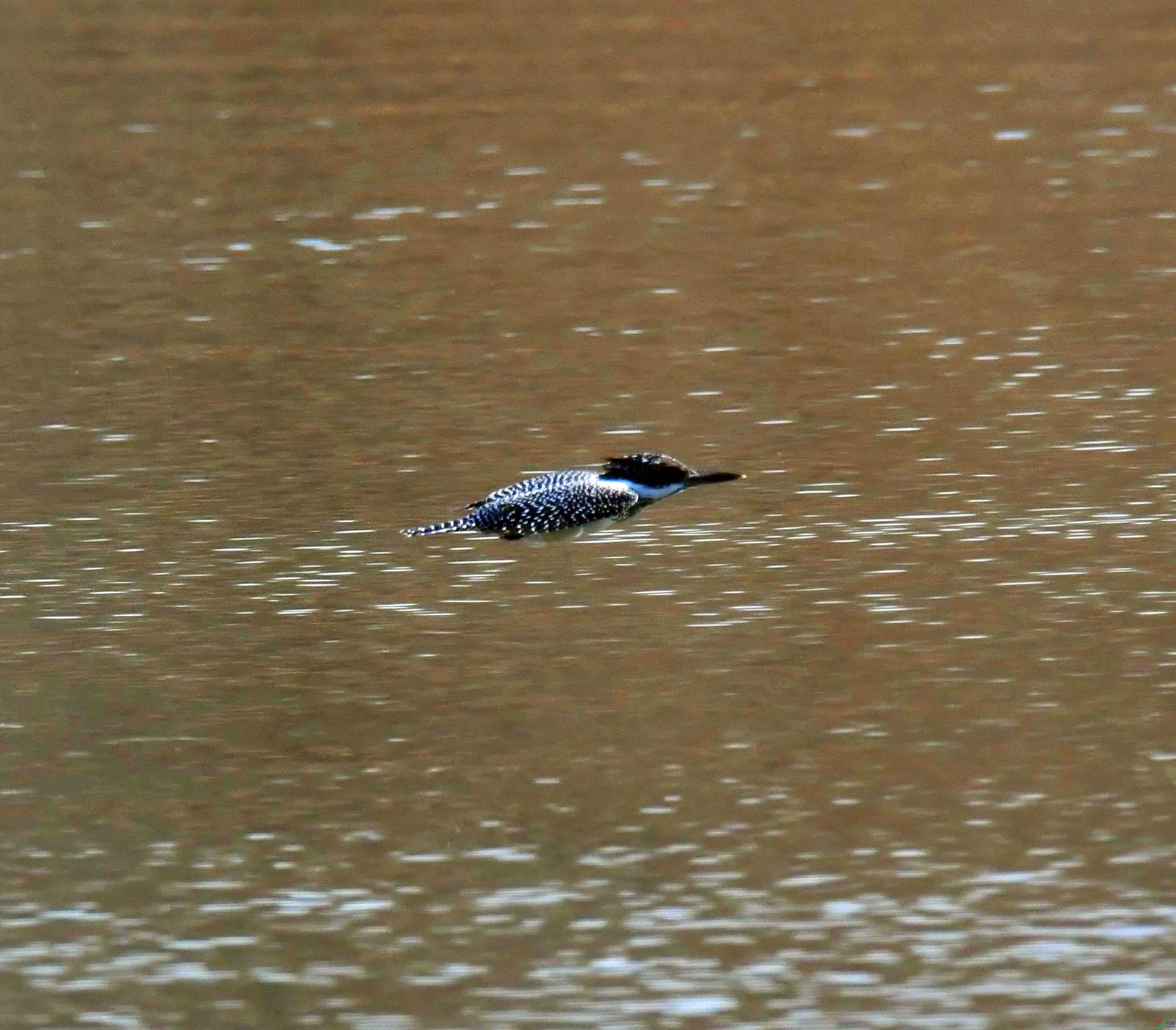 DSC_8656.JPG