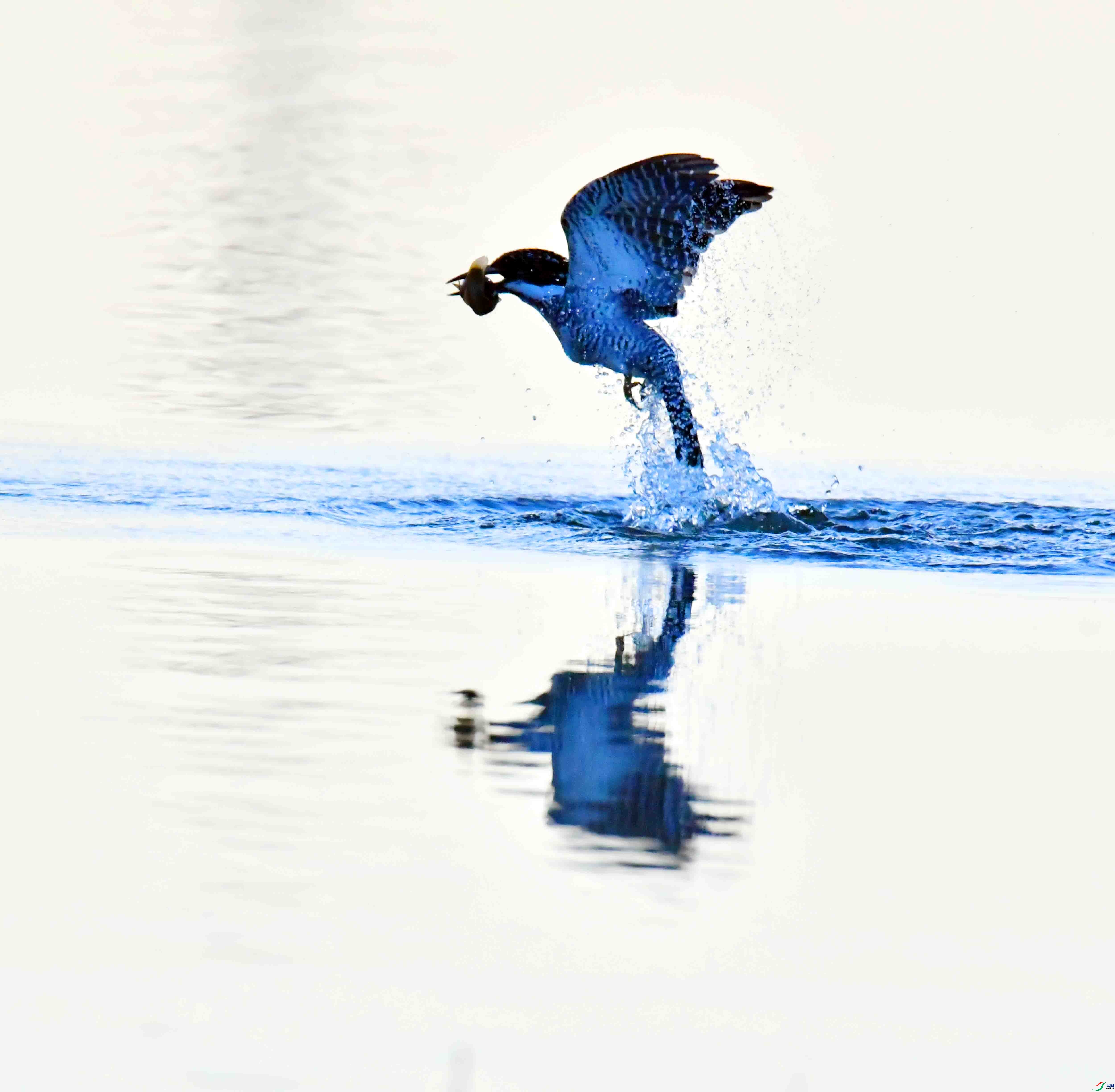 DSC_9878.JPG