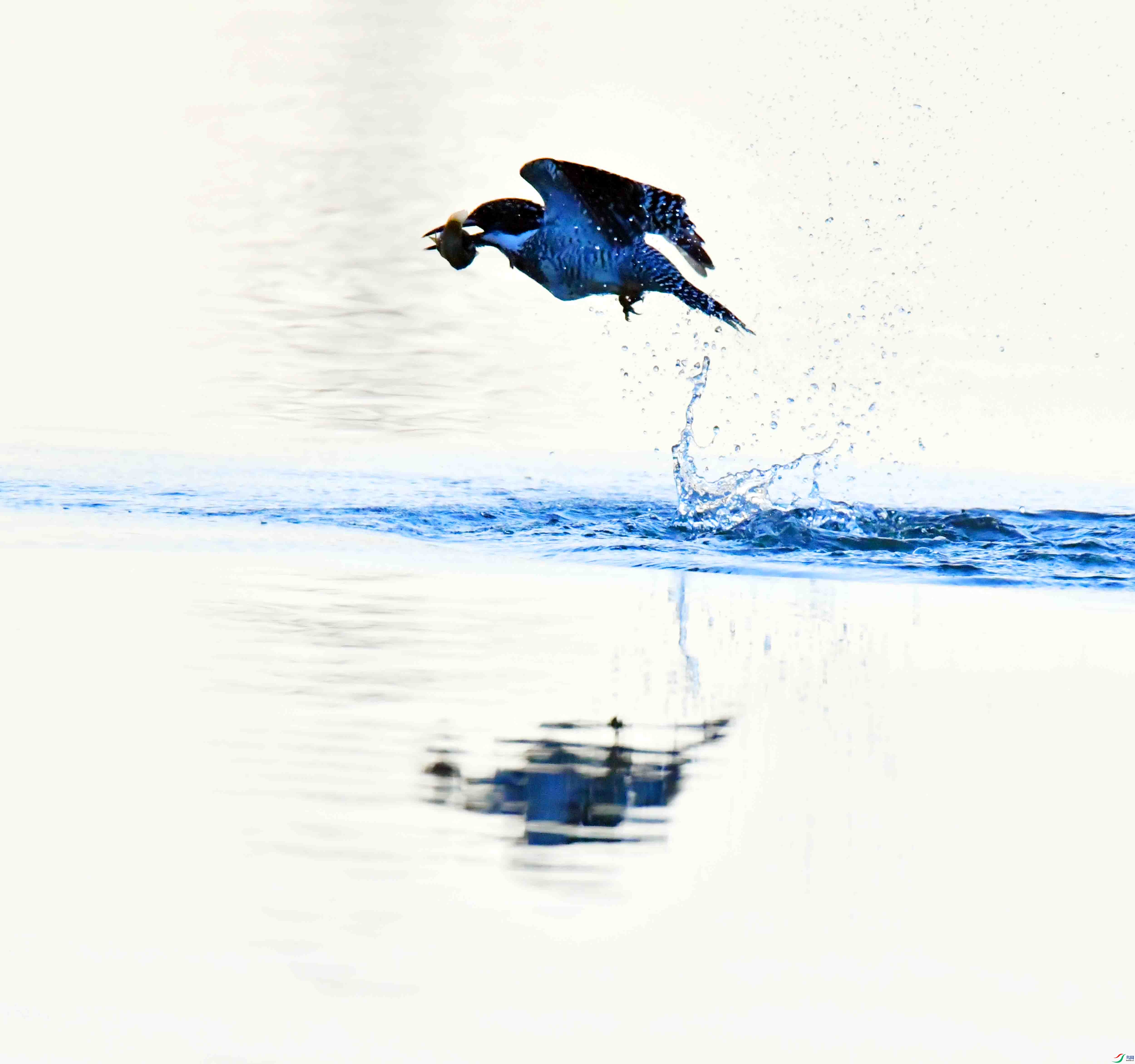 DSC_9879.JPG