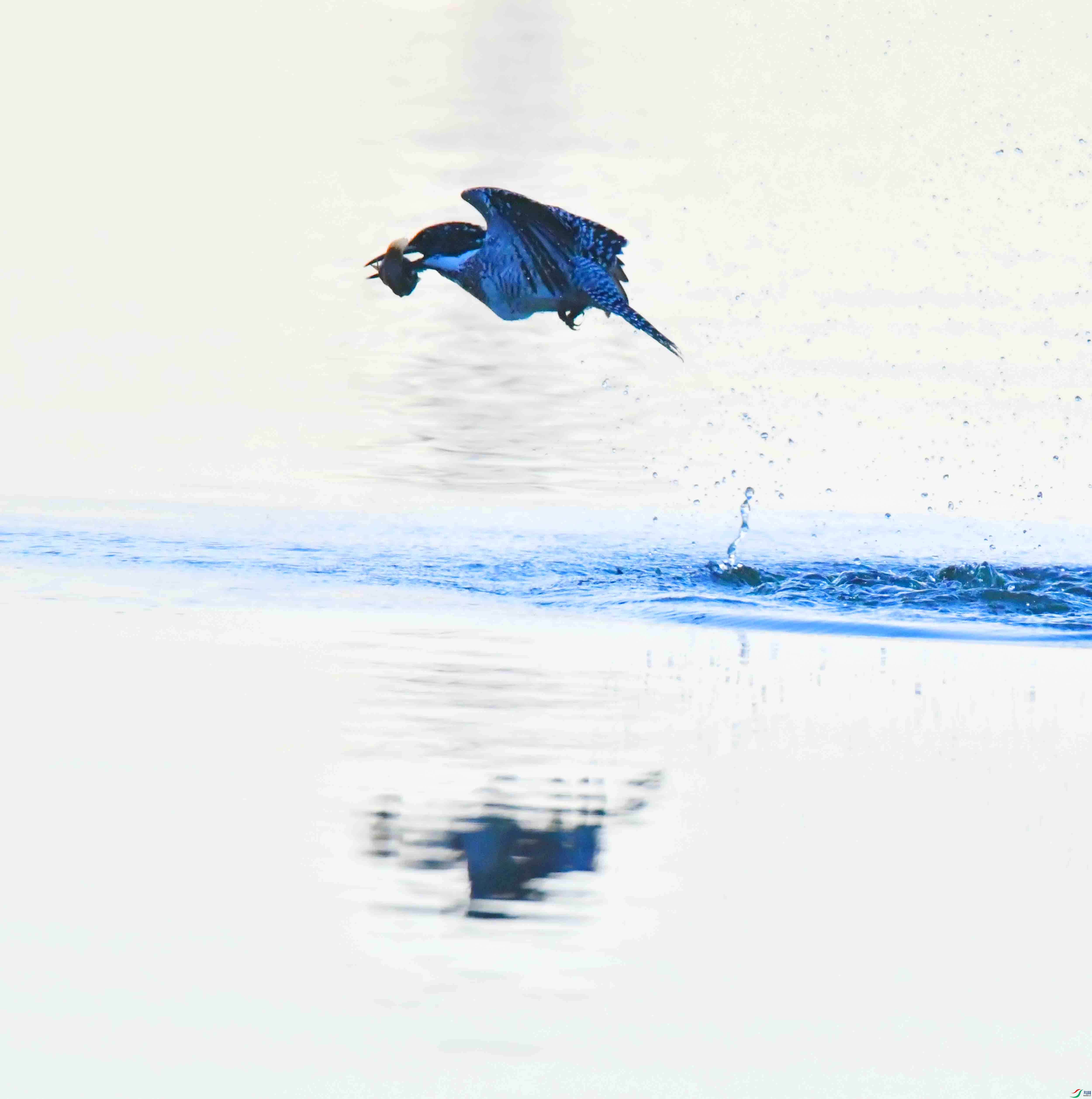 DSC_9880.JPG