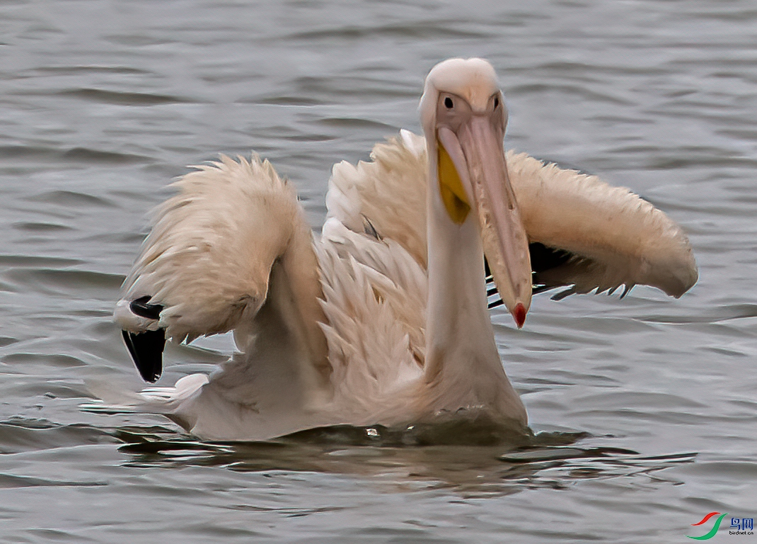 DSC_9263-11.jpg