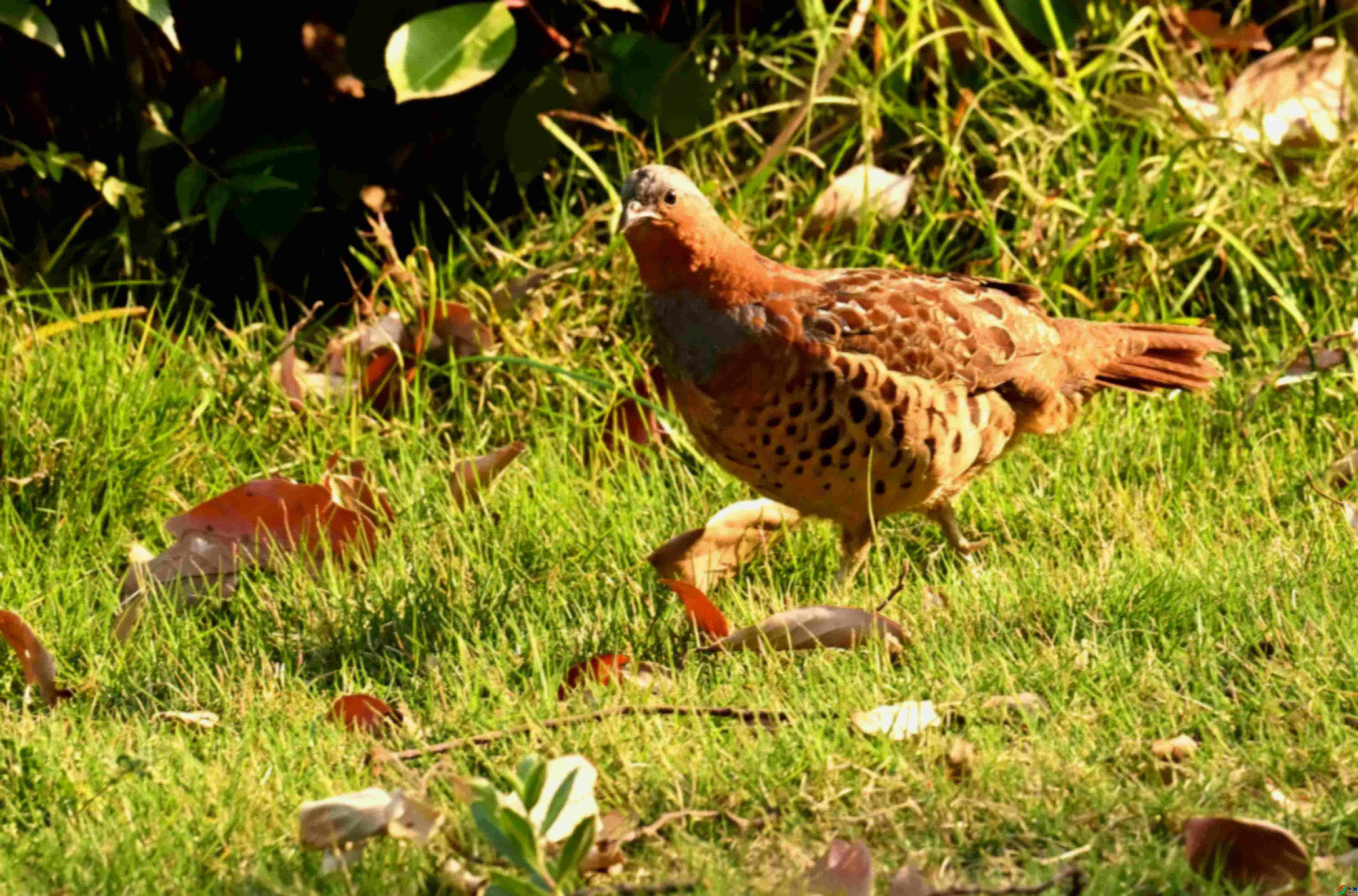 DSC_1645.JPG