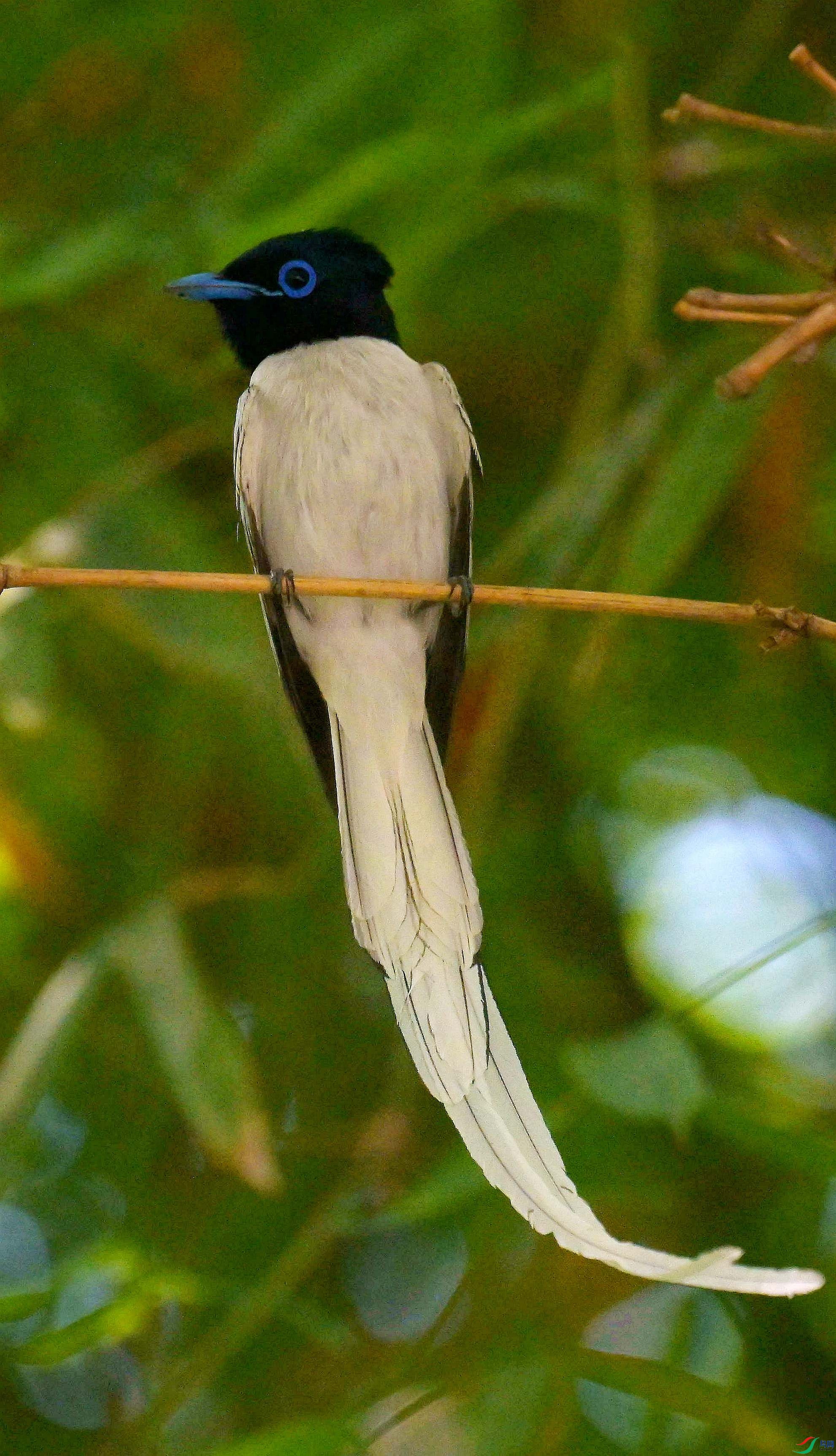 DSC_4967.jpg
