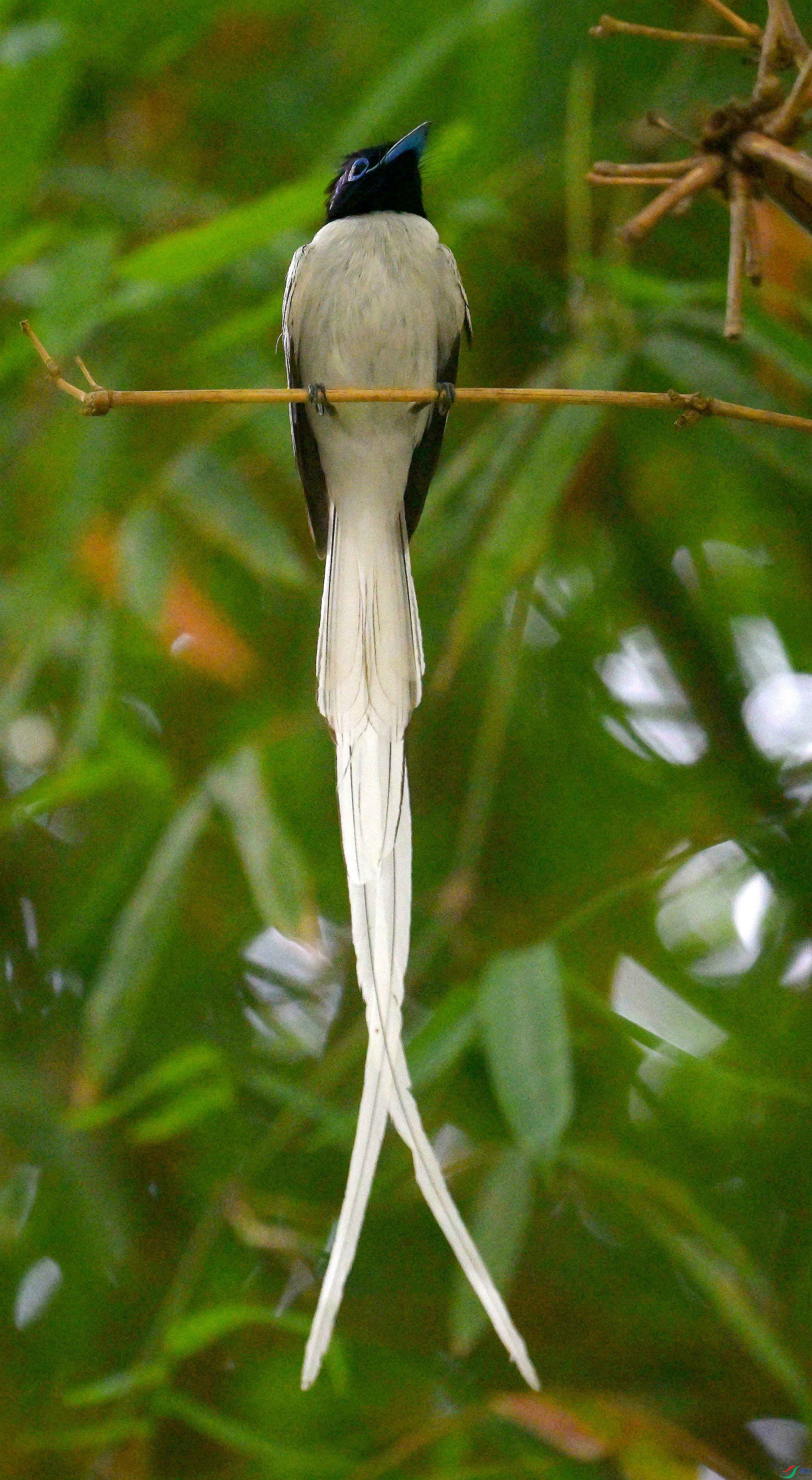 DSC_4052.jpg