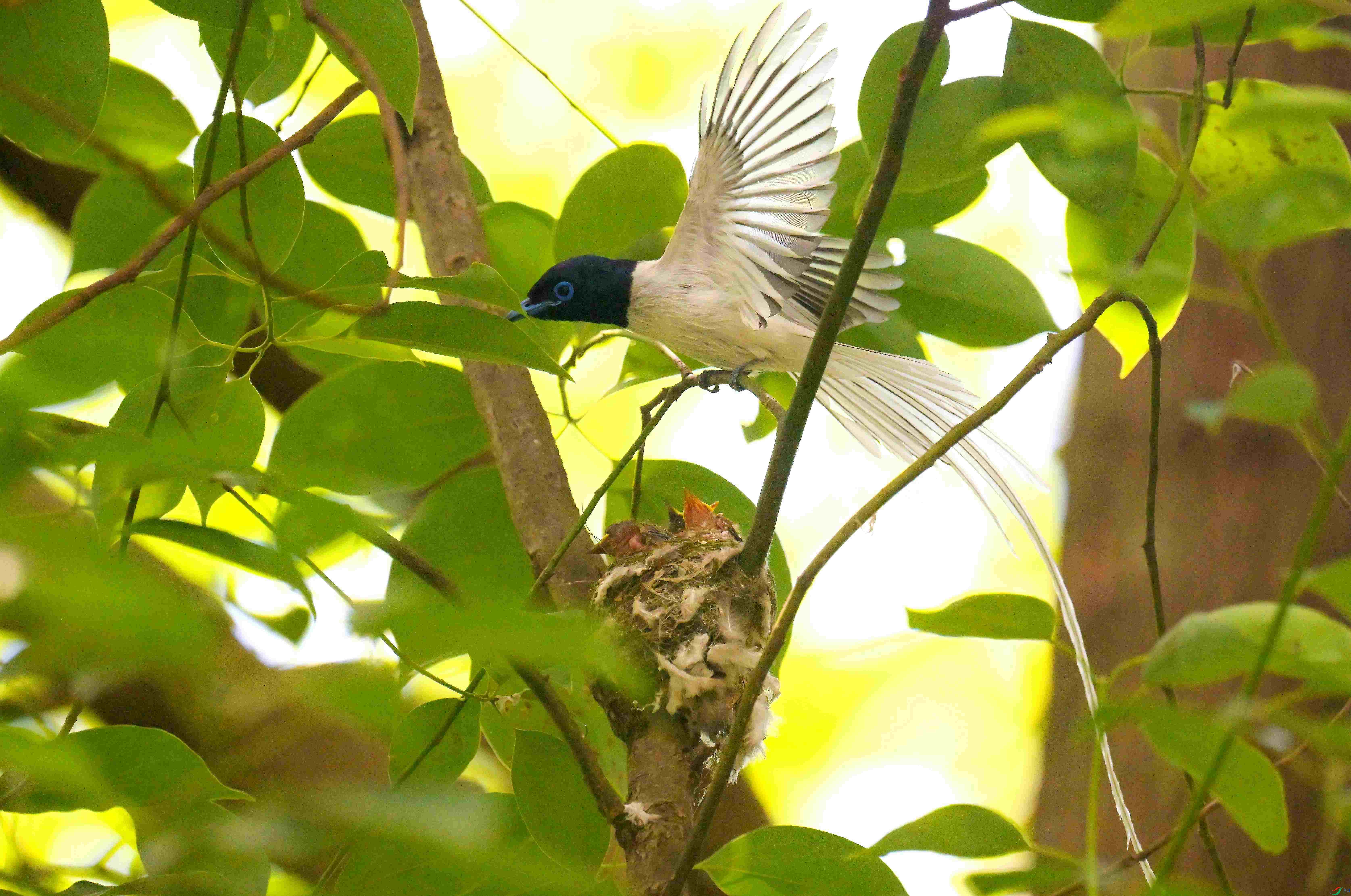 DSC_6615.jpg