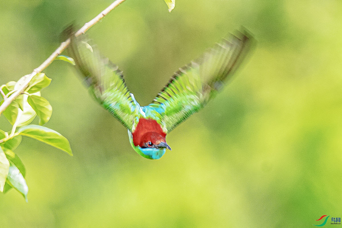 DSC_0363-����ǿ.jpg