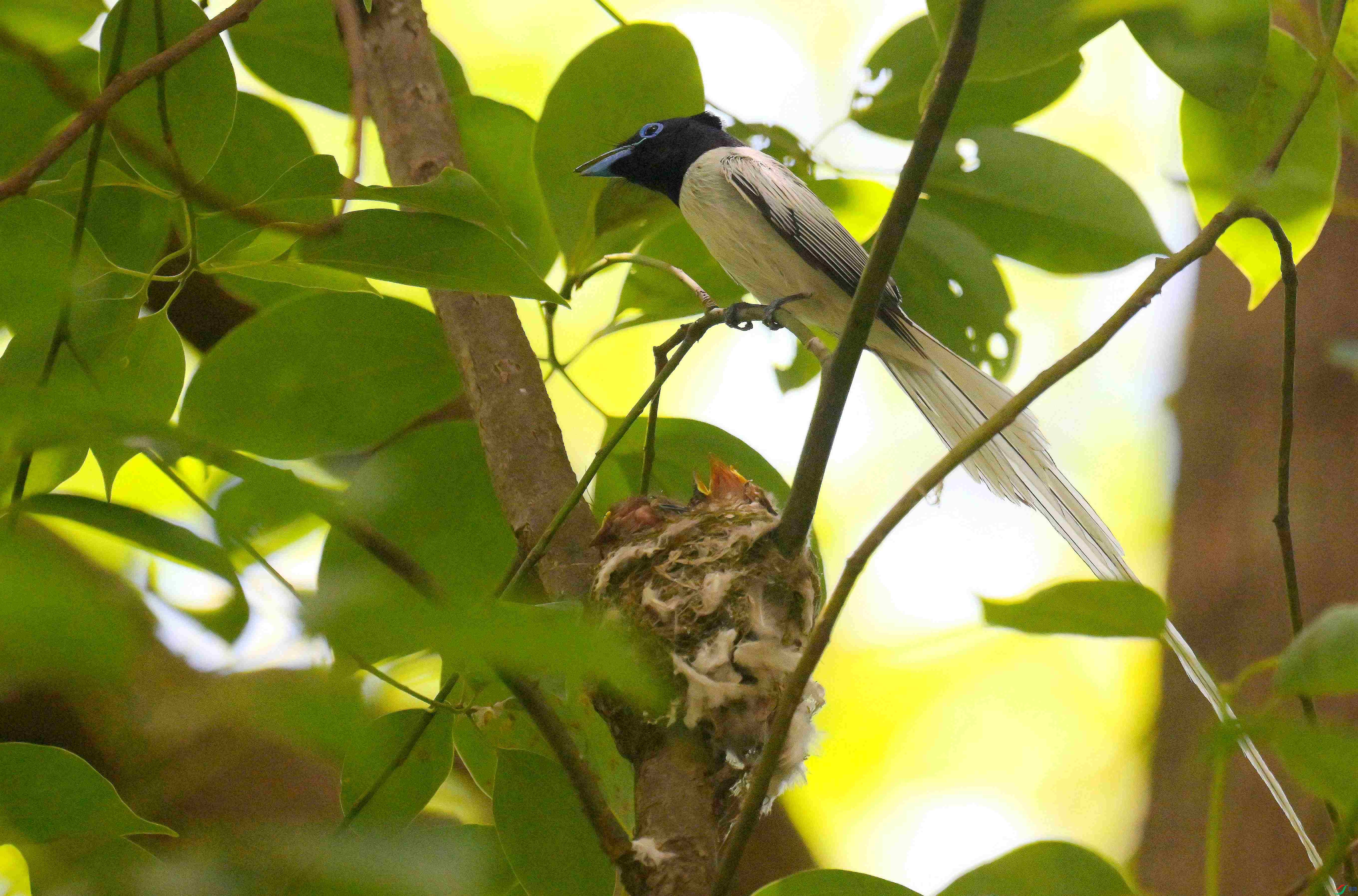 DSC_6618.jpg