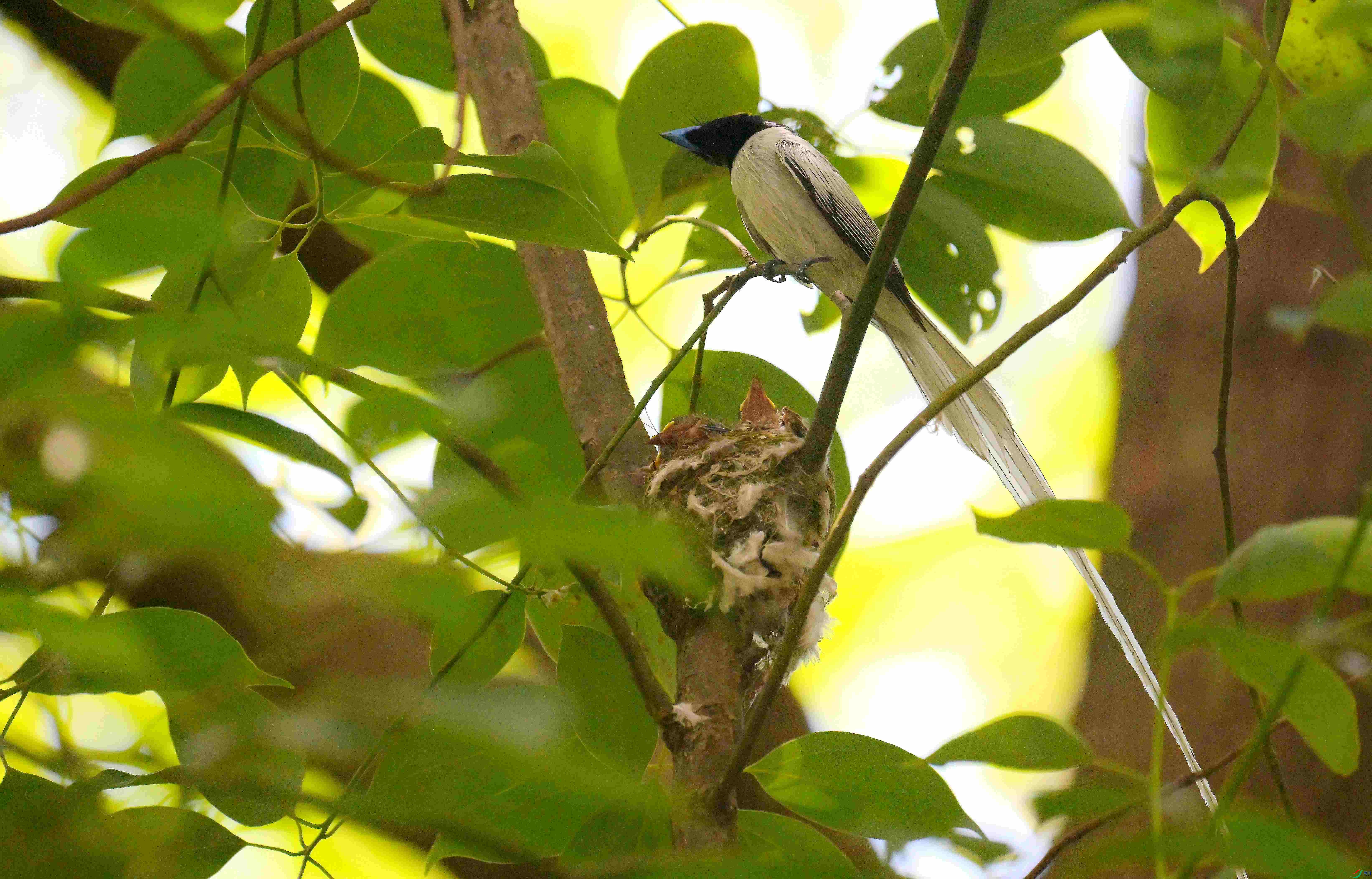DSC_6666.jpg