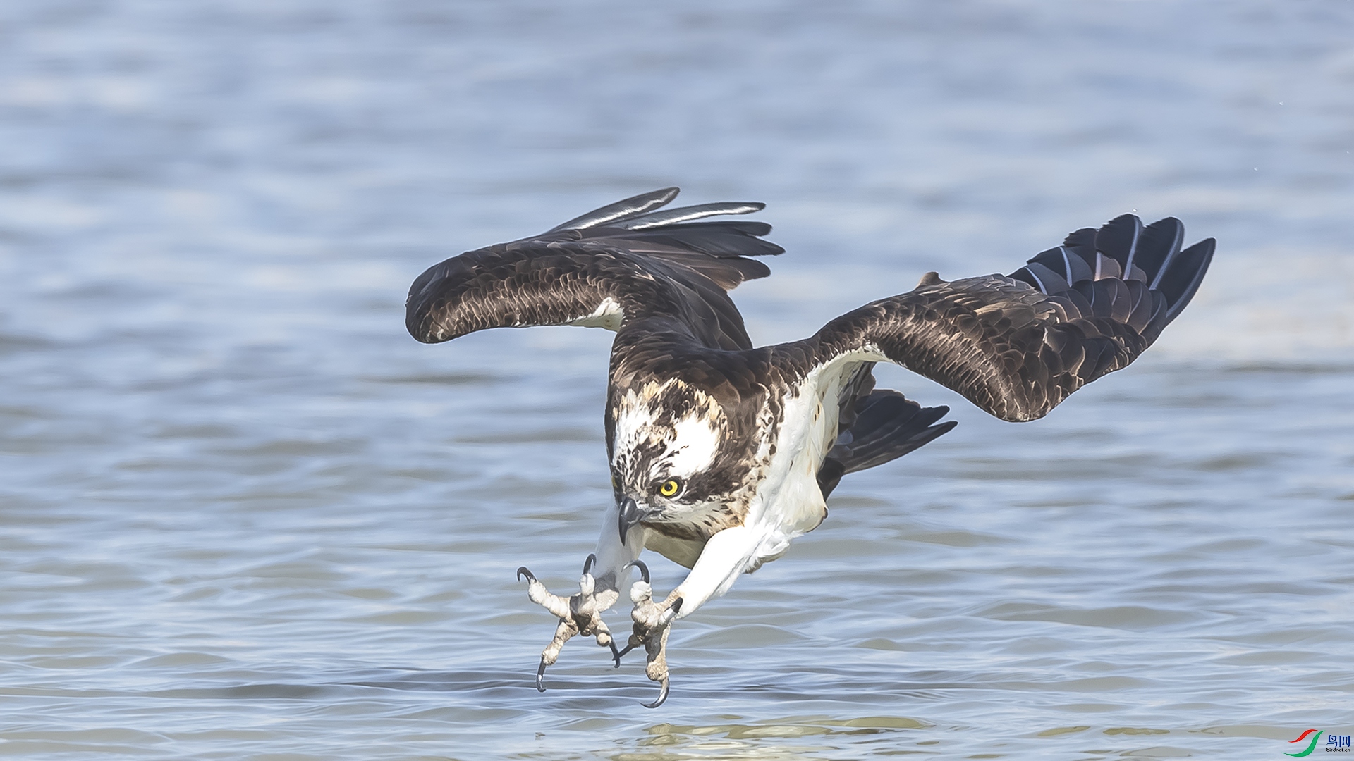 019A3998 ����2.jpg