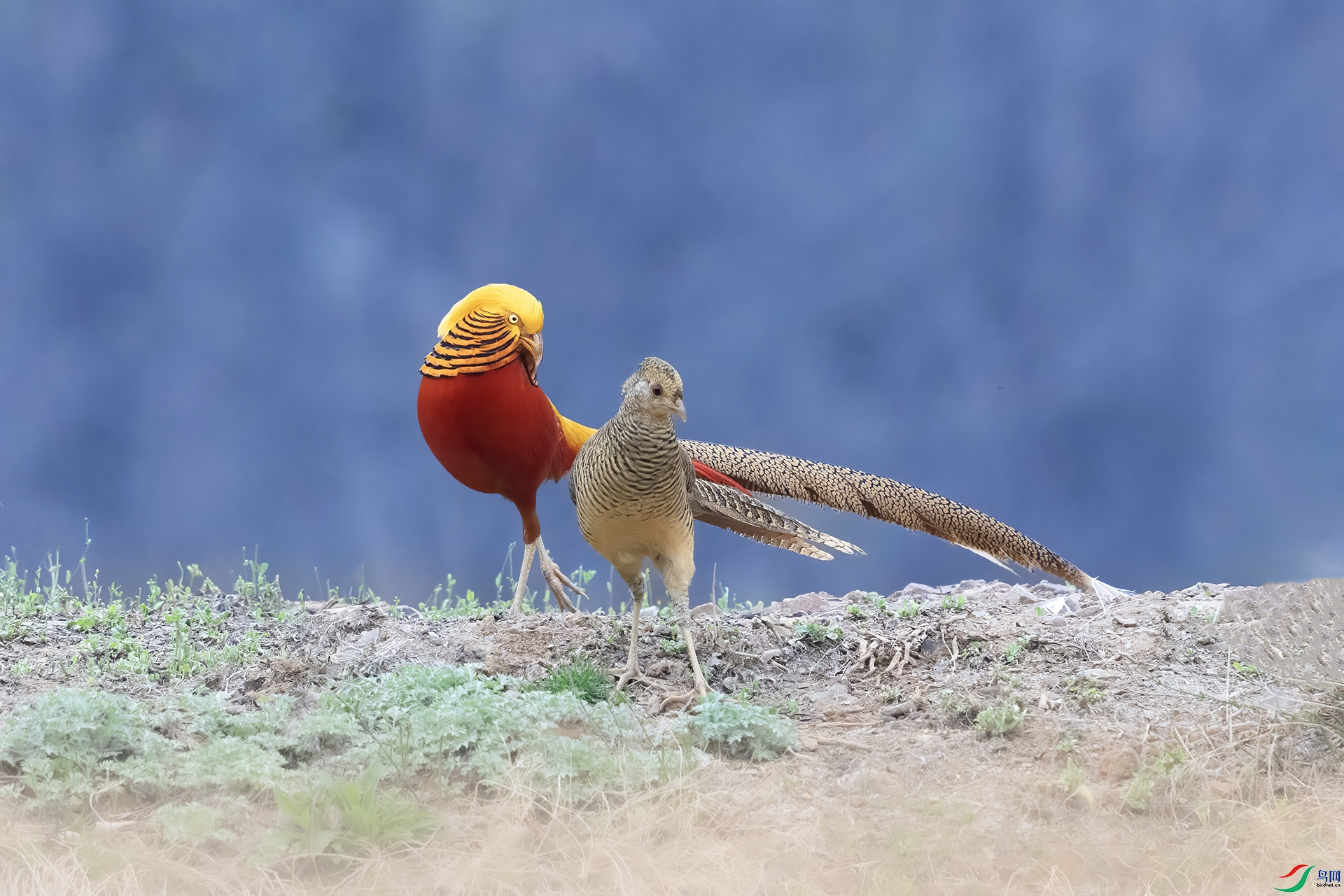 IMG_1528 ����.jpg