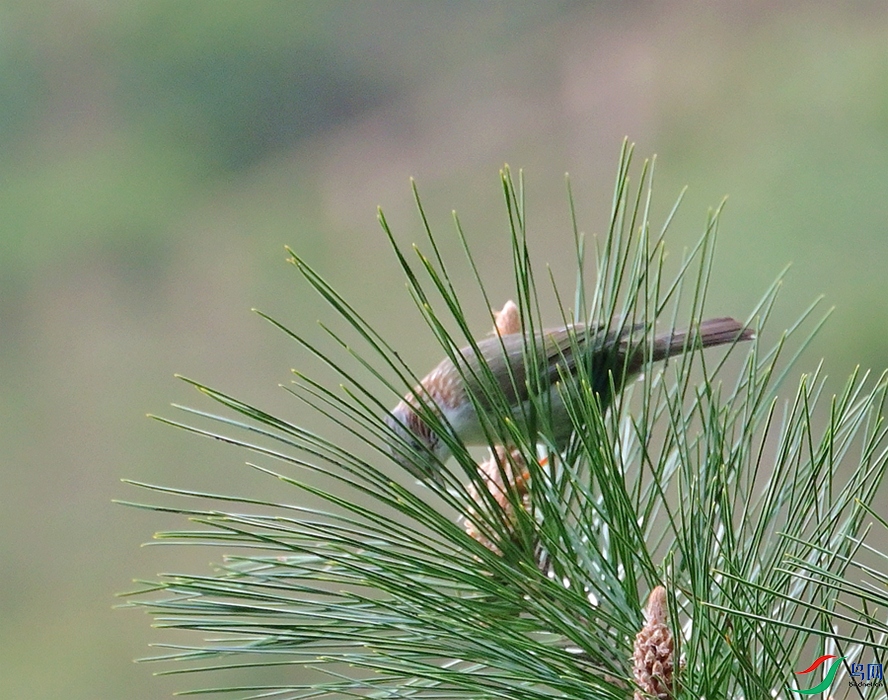 DSC_1151.JPG