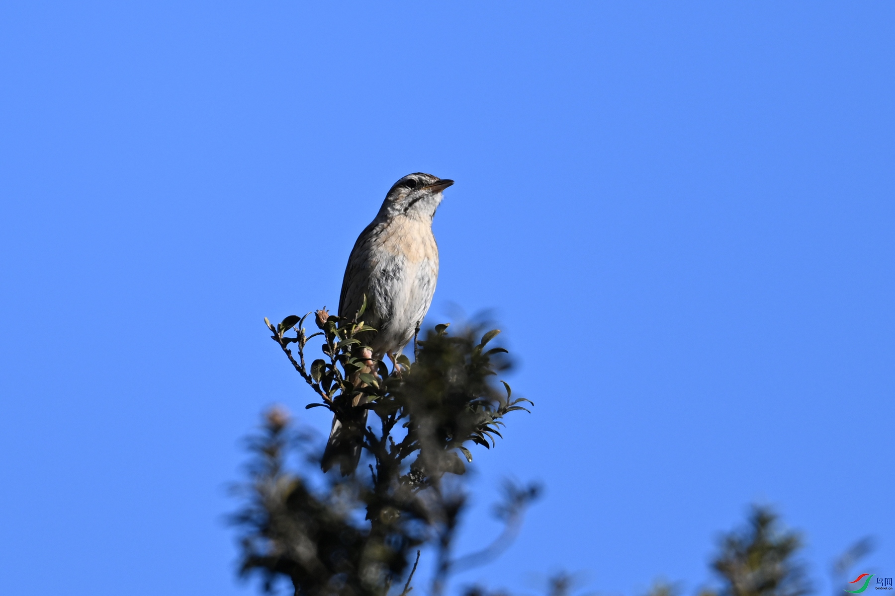 DSC_2857.JPG
