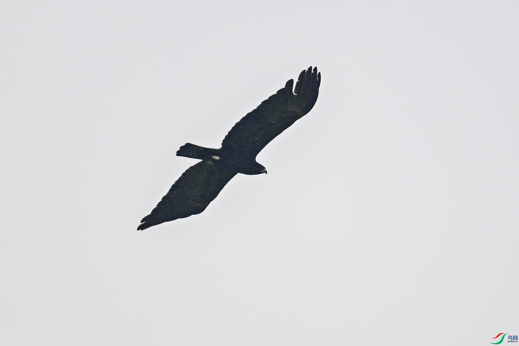 DSC_4671.JPG