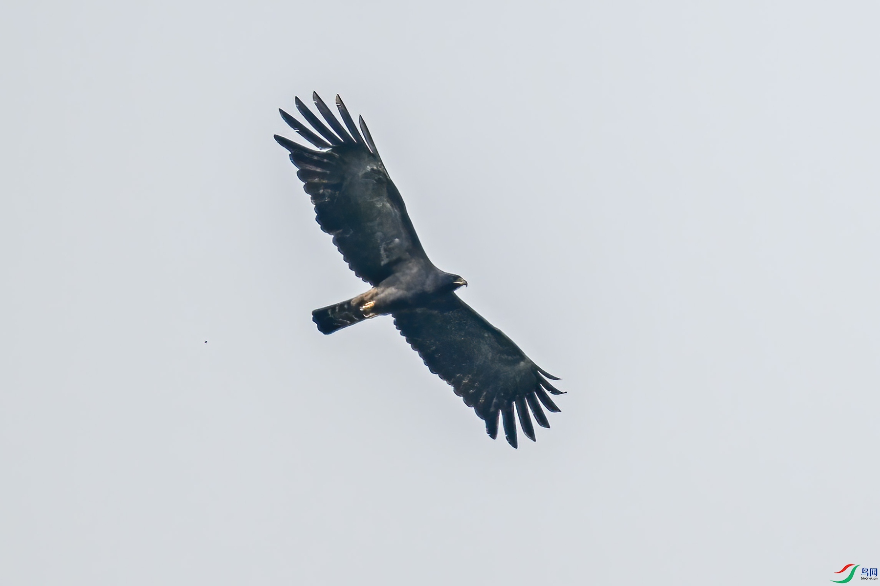 DSC_4680.JPG