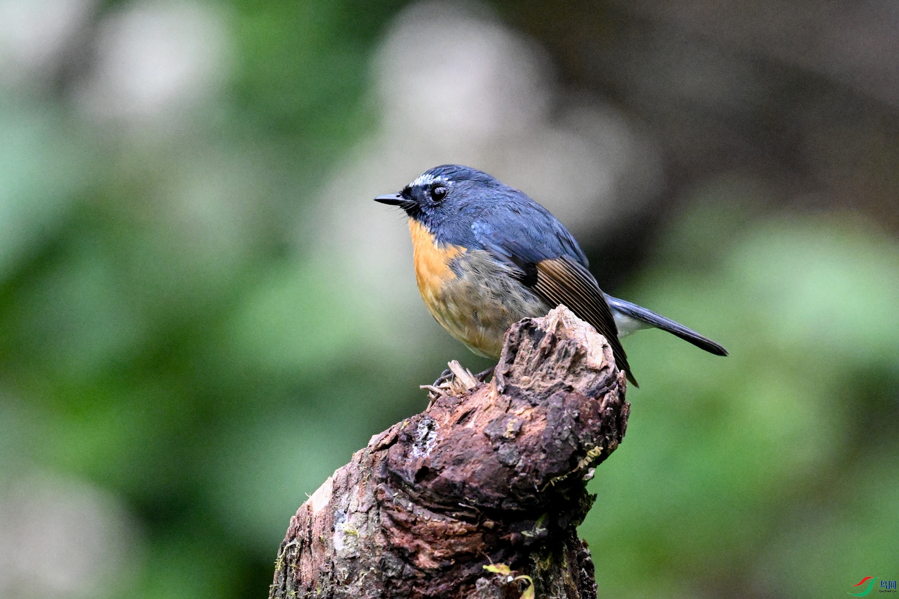 DSC_7043.JPG