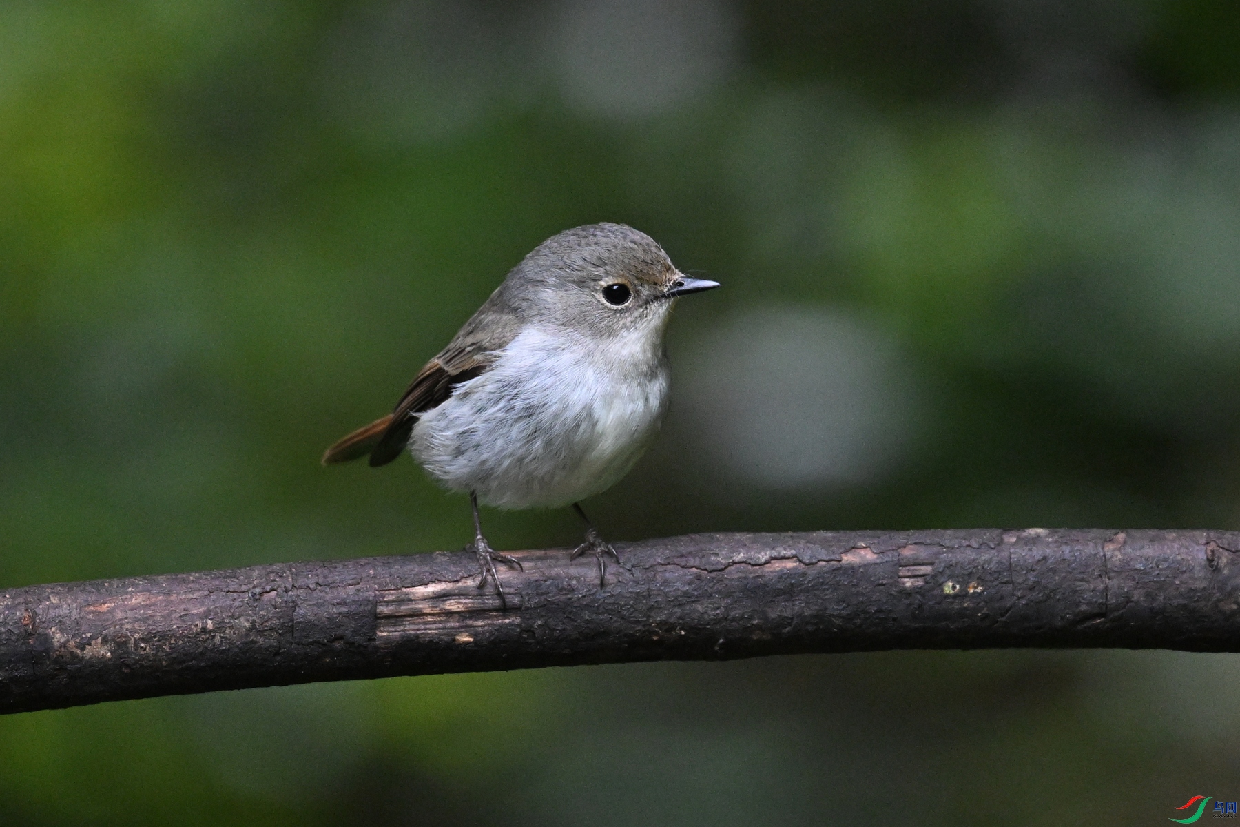 DSC_7179.JPG