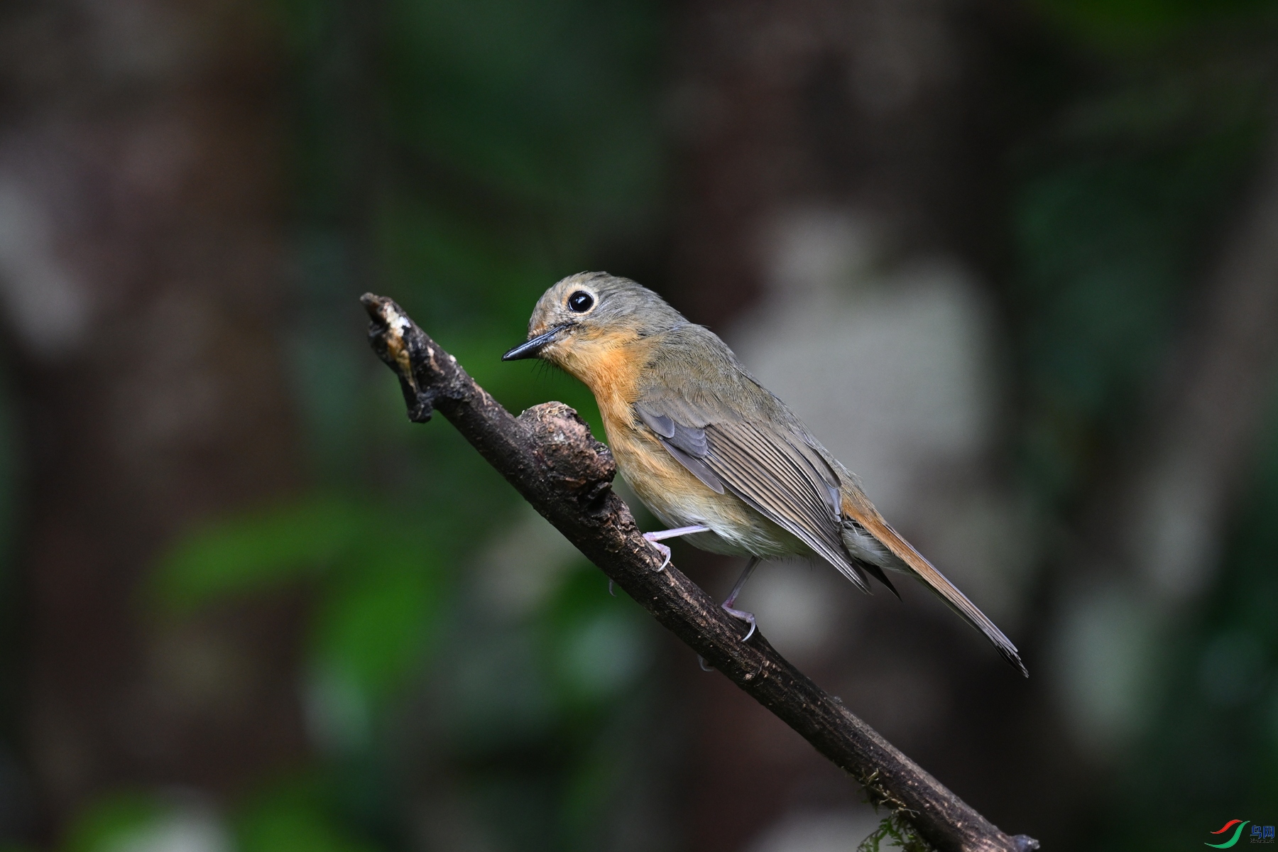 DSC_7262.JPG