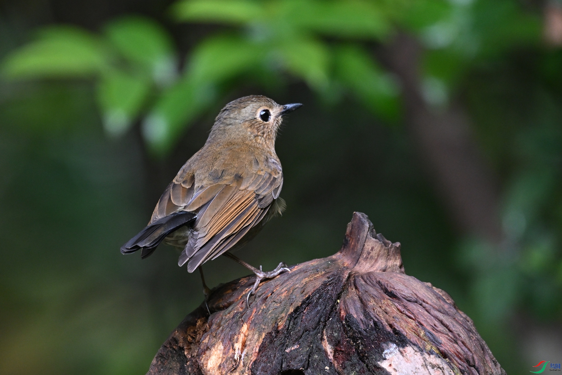 DSC_7281.JPG