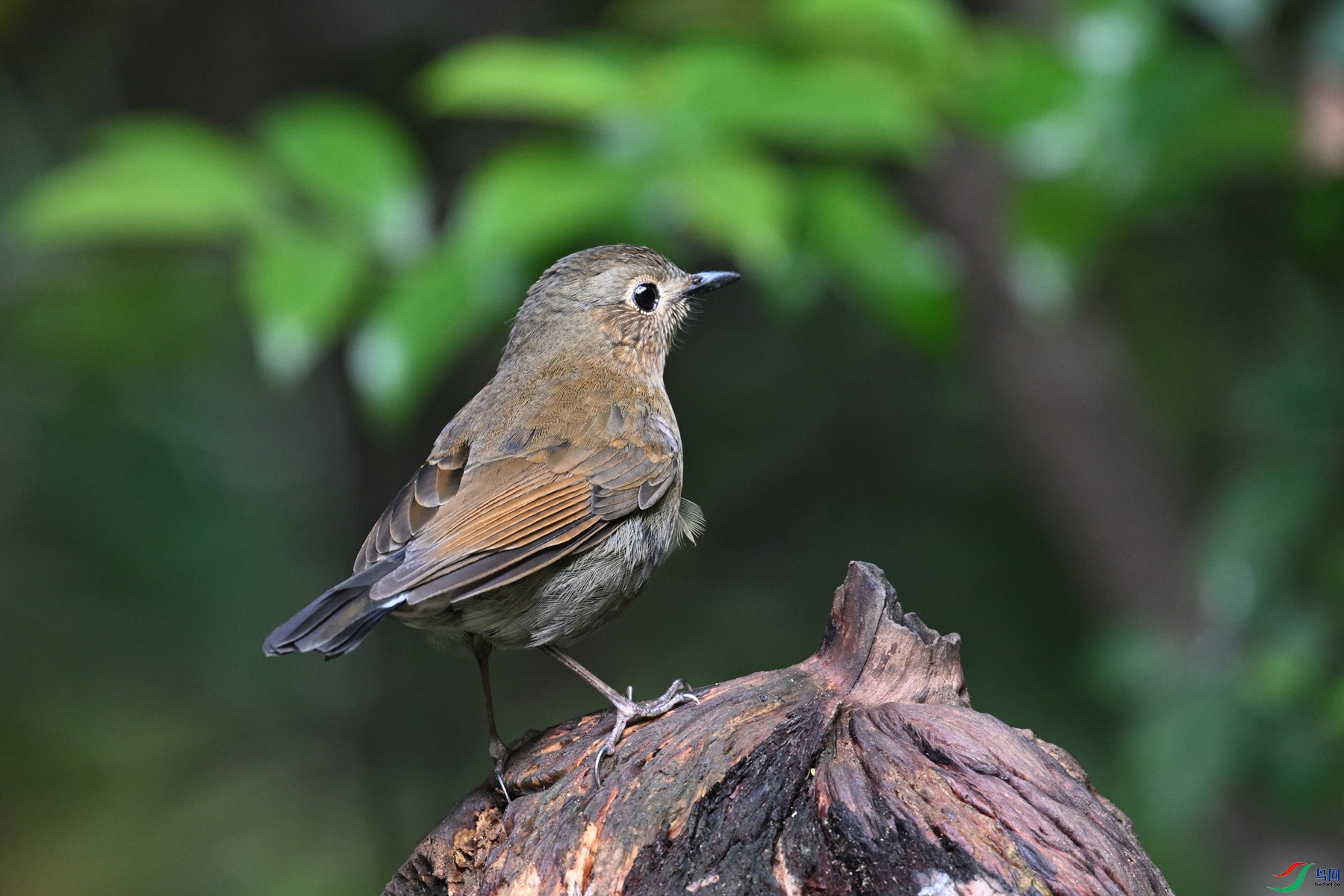 DSC_7284.JPG