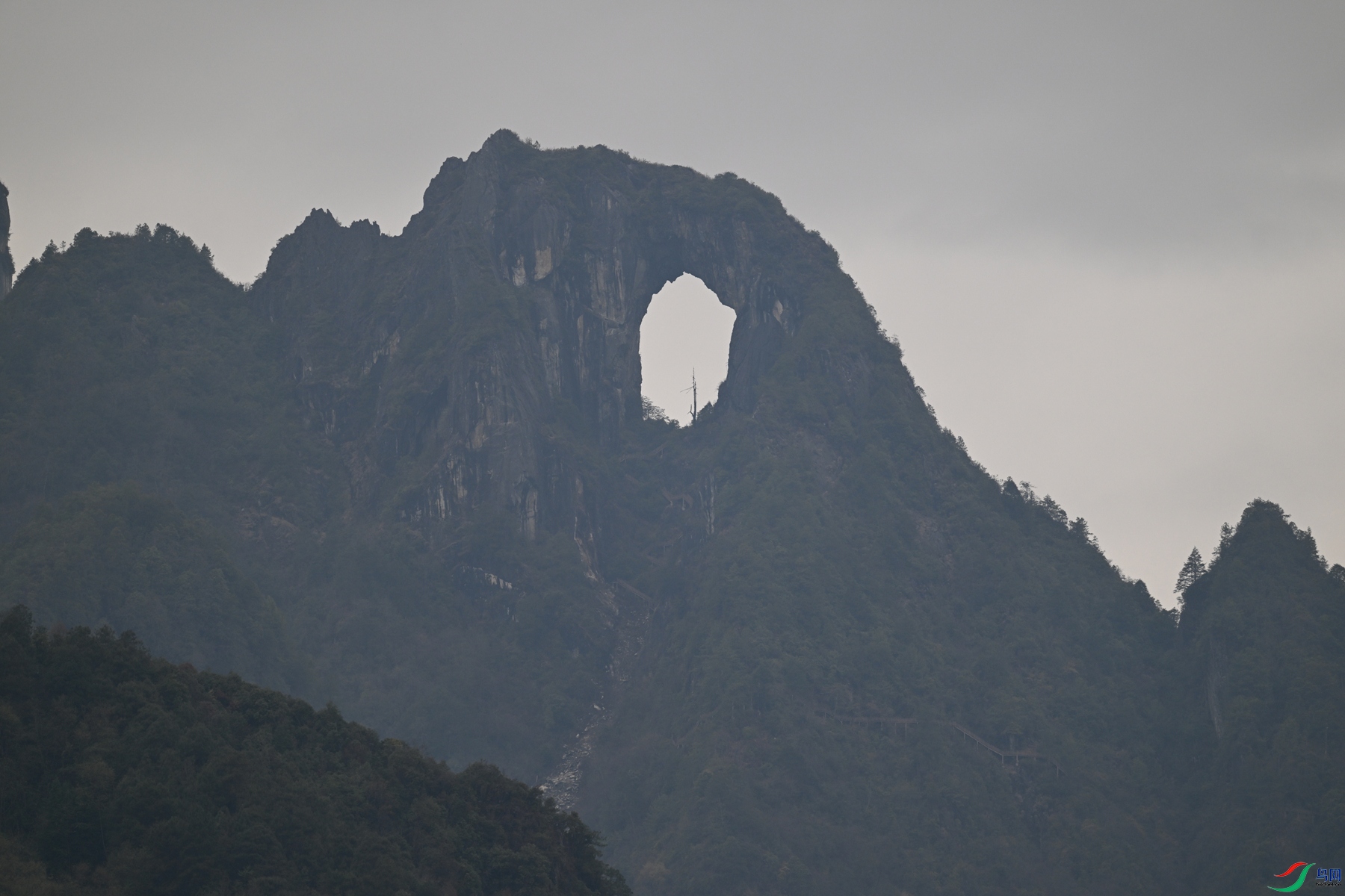 DSC_9702.JPG