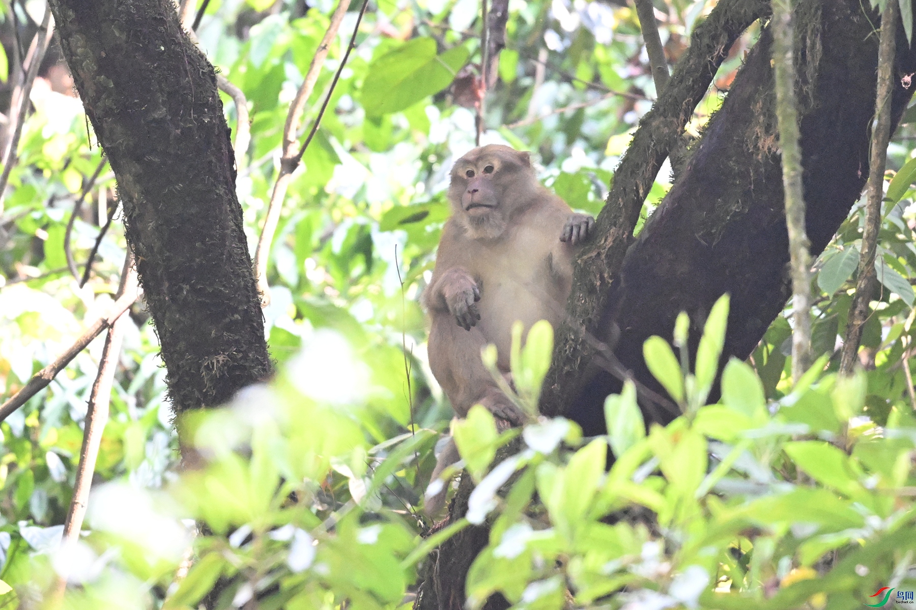 DSC_6569.JPG