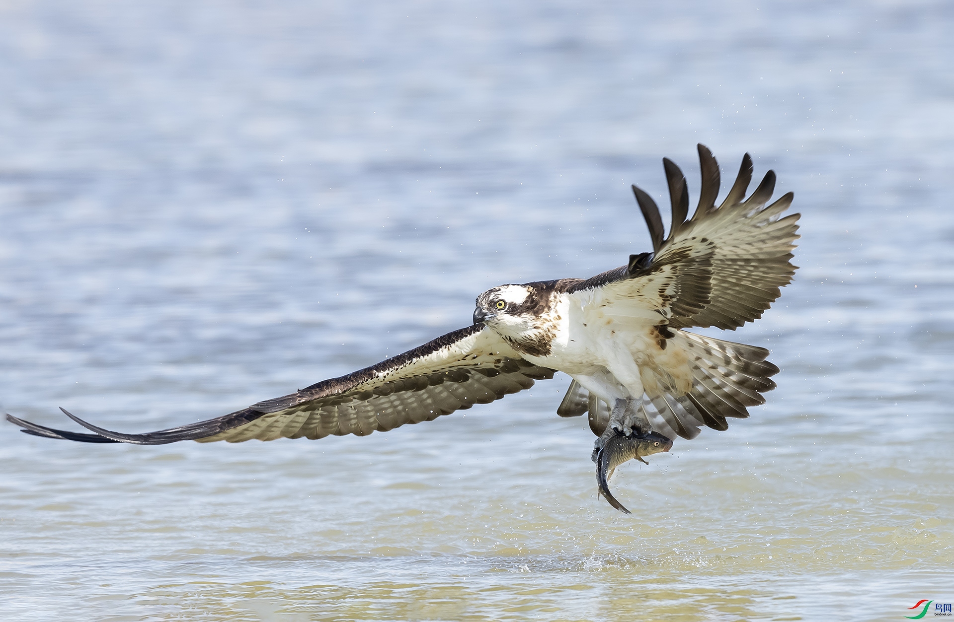 019A4033 ����2.jpg