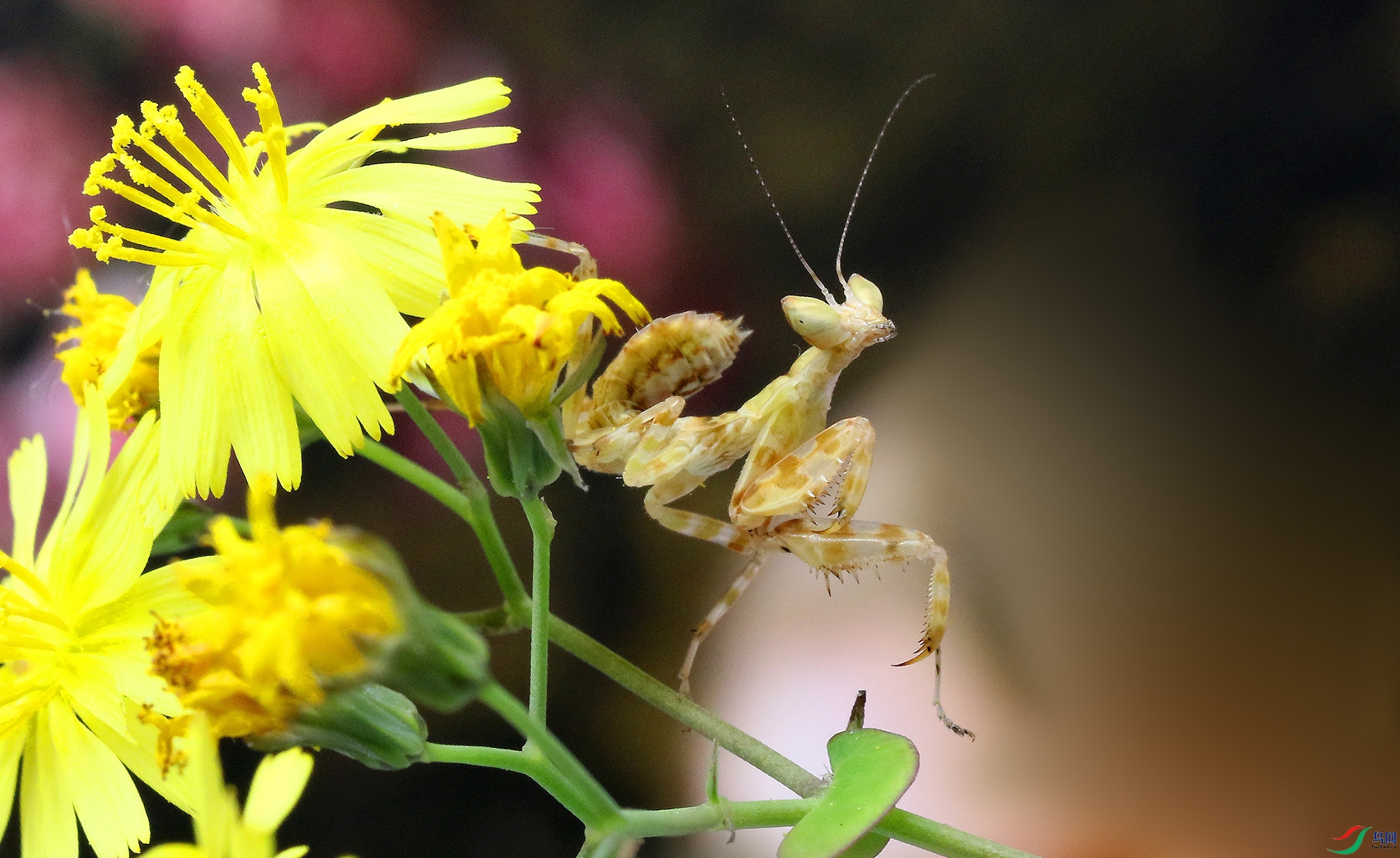 0N2A5506 ����.jpg