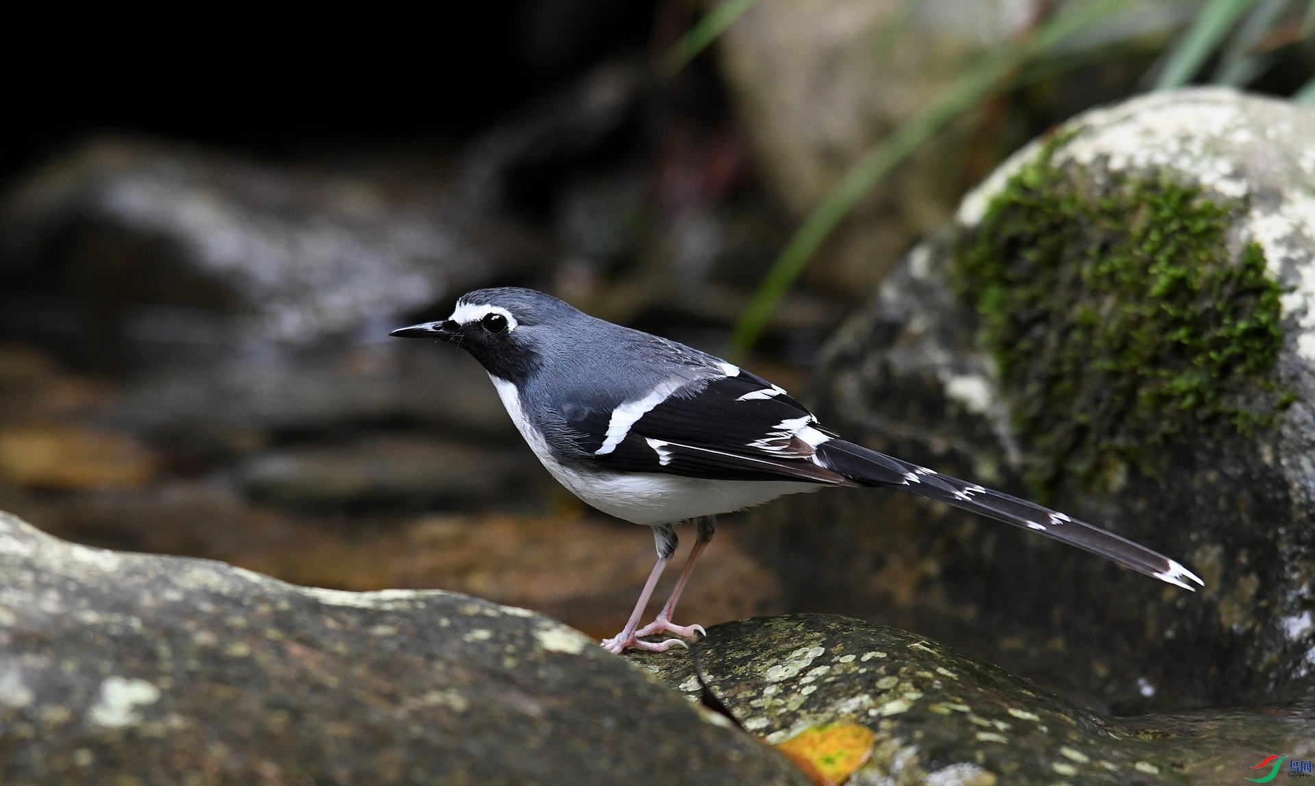 DSC_2246.jpg