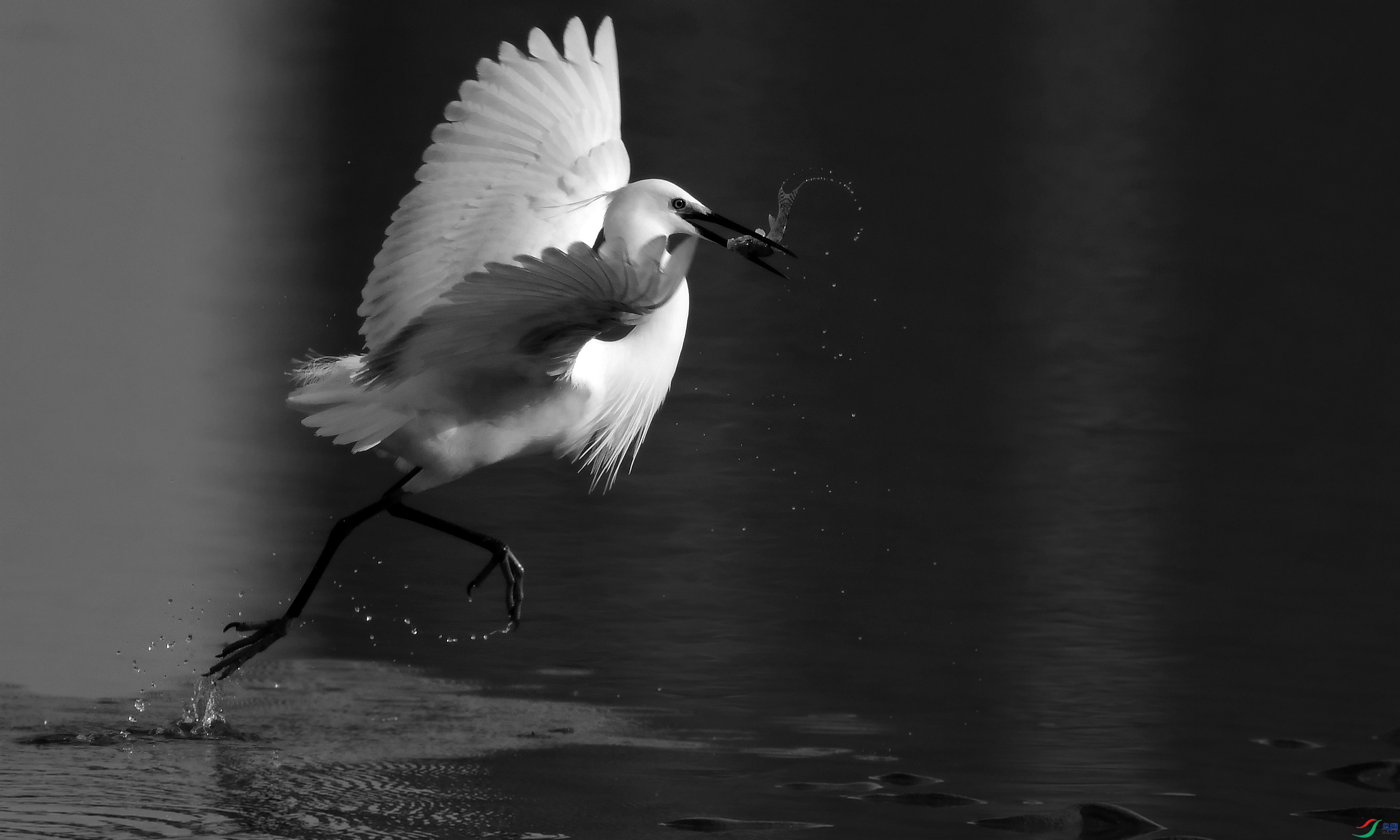 DSC_5966_conew6.jpg