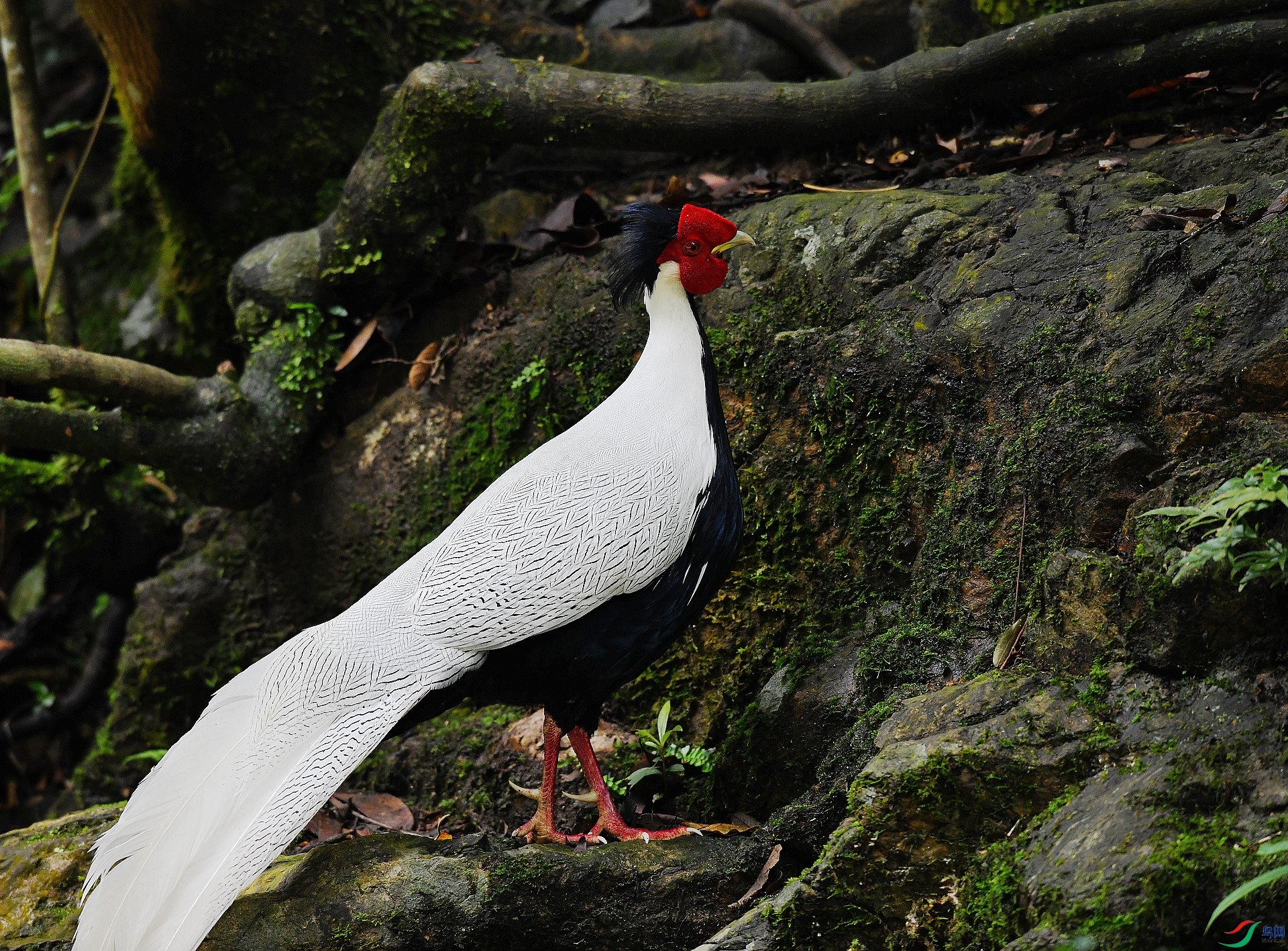 DSC_1537.jpg
