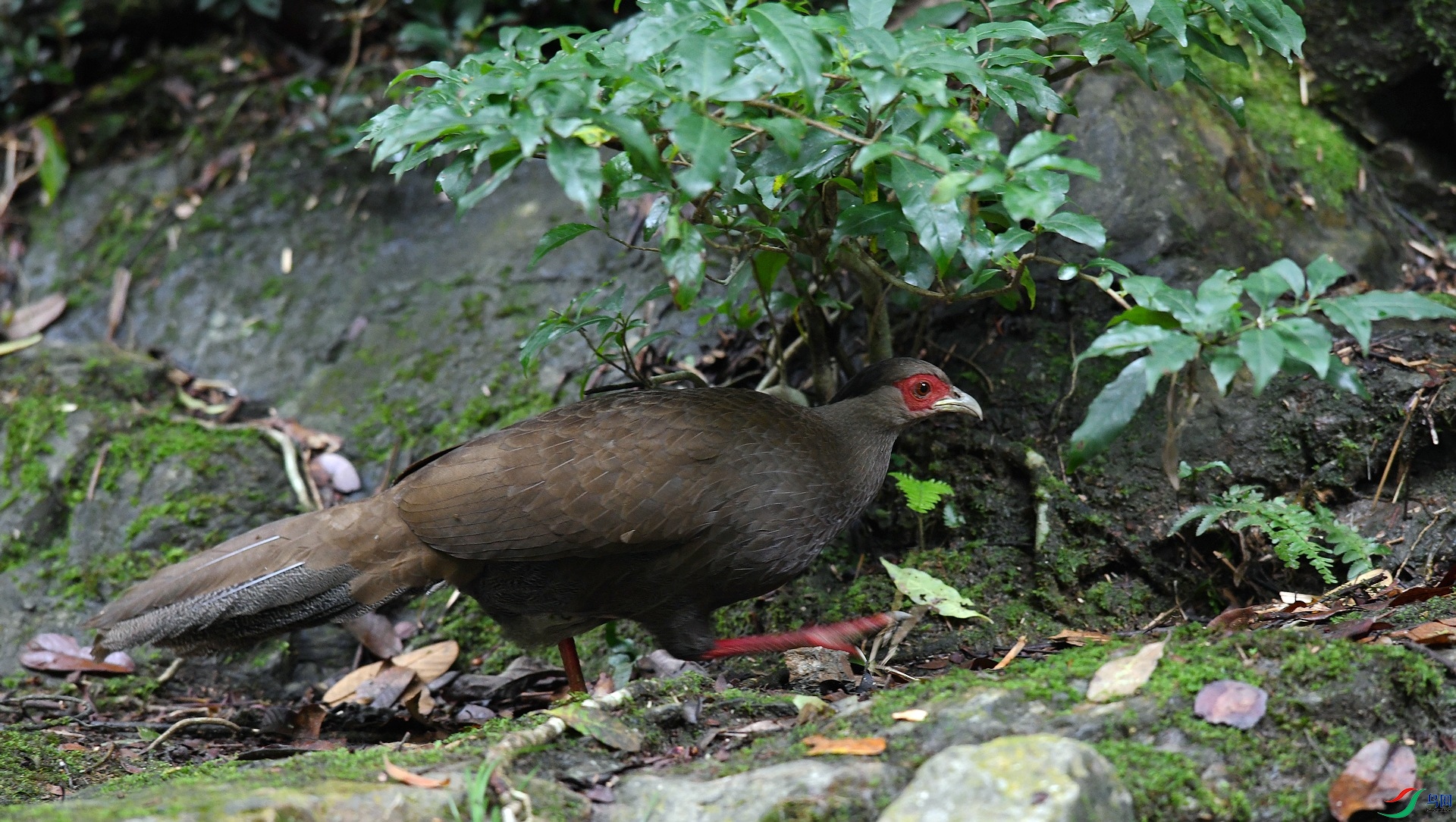 DSC_1564.jpg