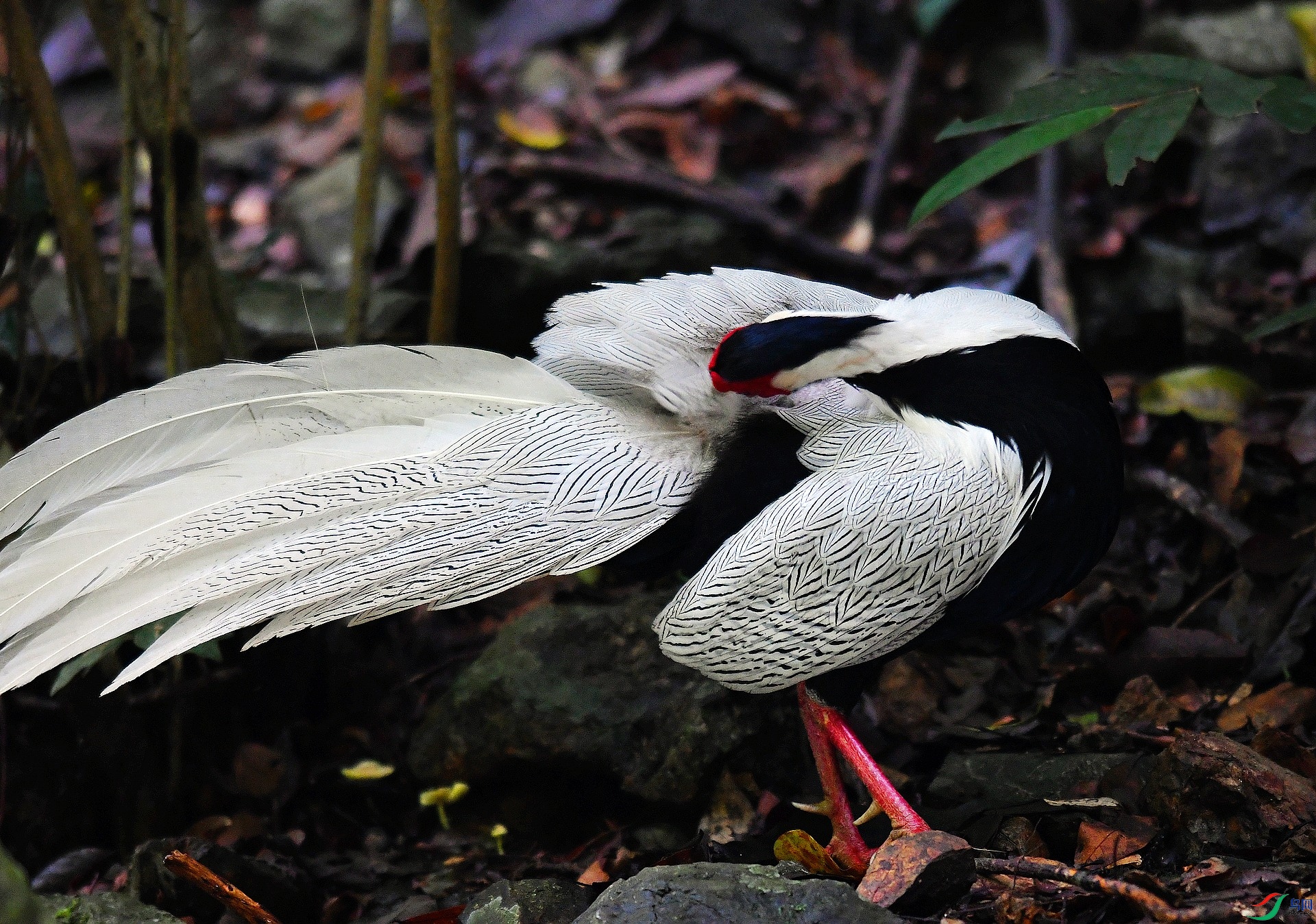 DSC_2270.jpg