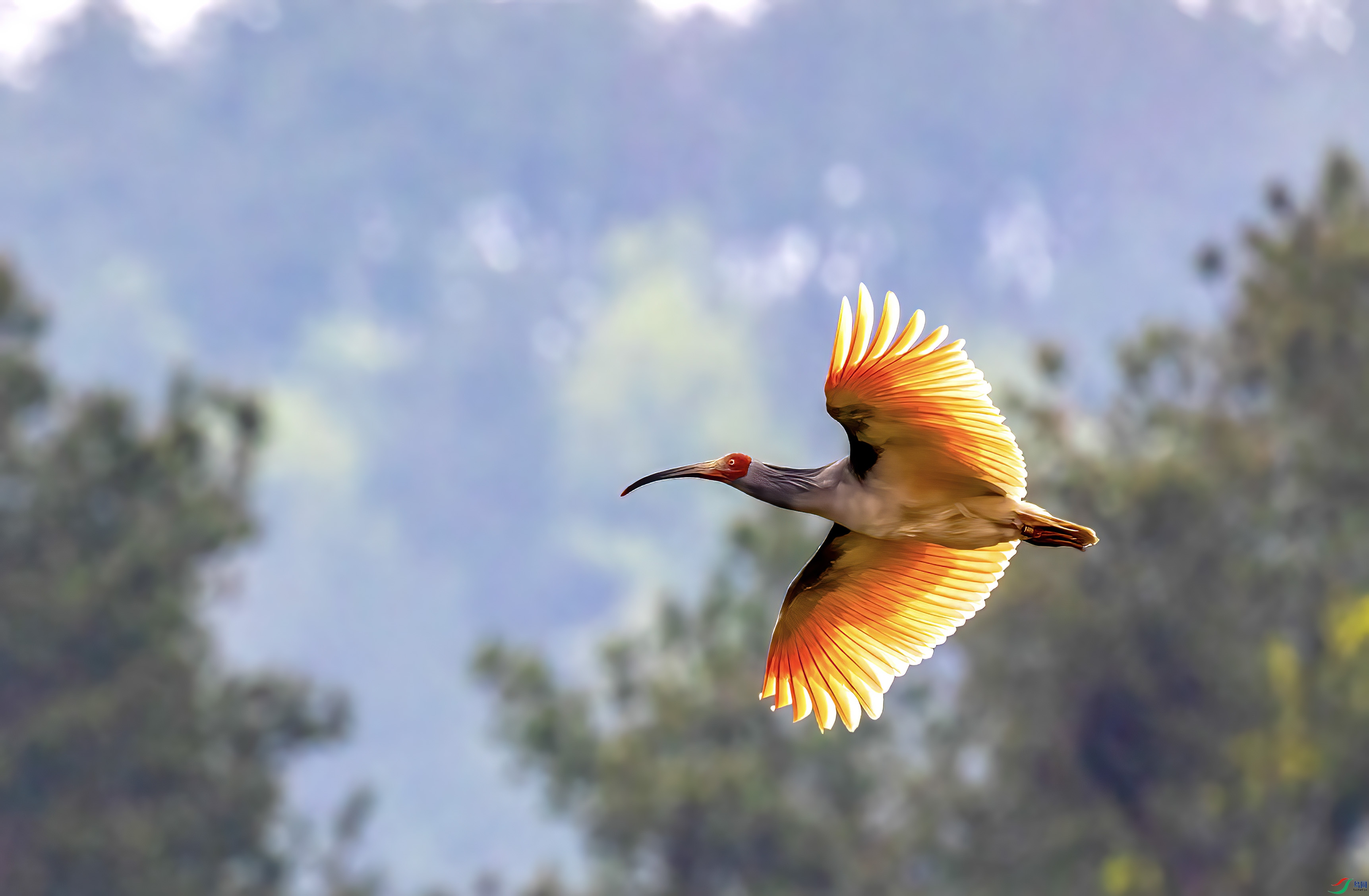 _MG_1242 ����.jpg