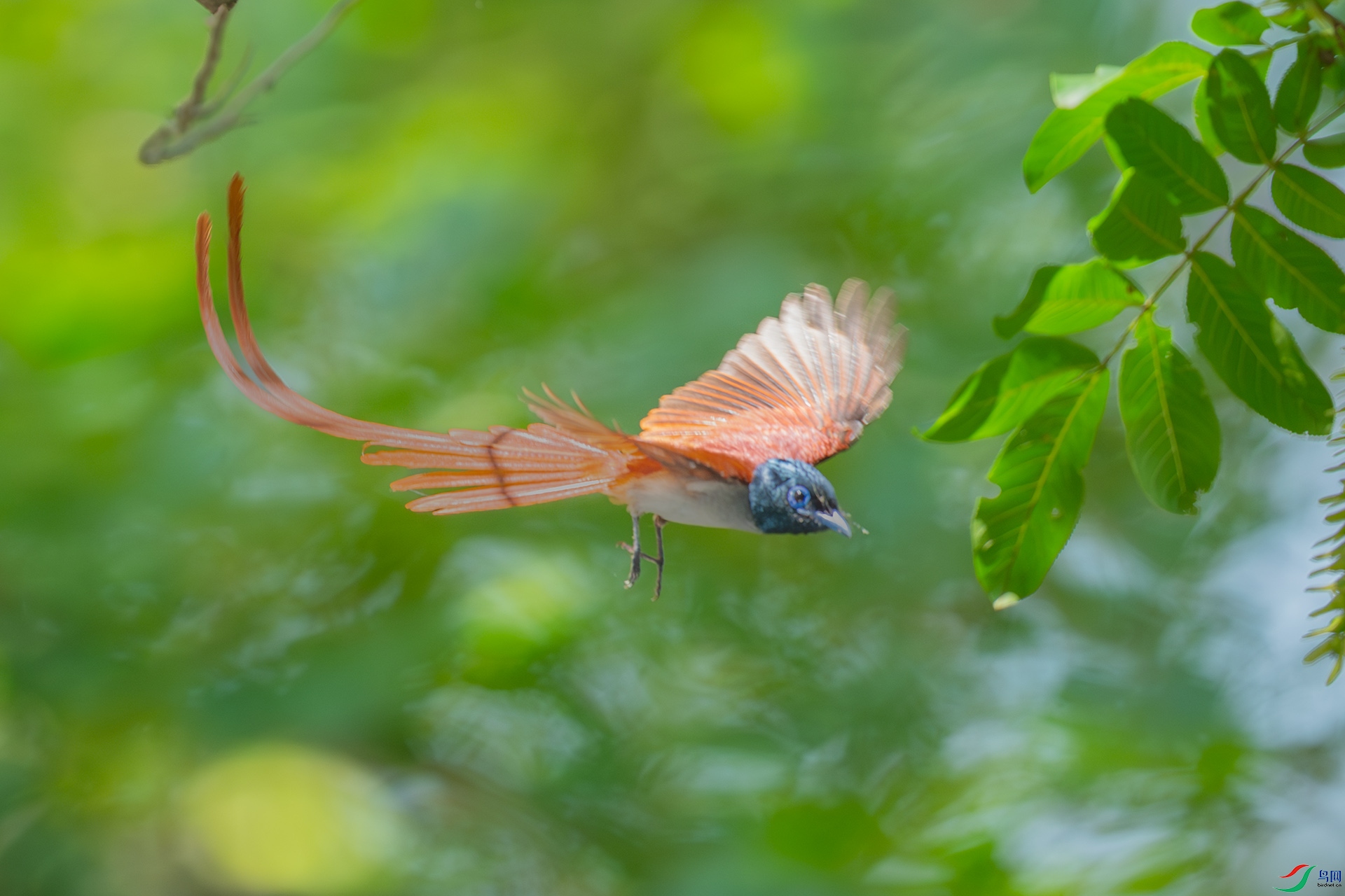 DSC_2300.jpg