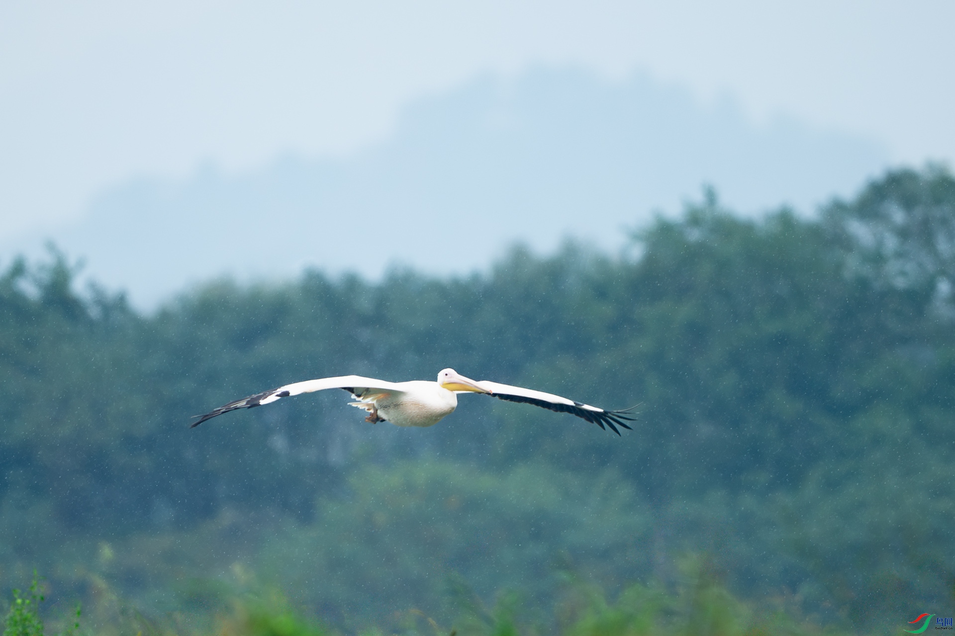 DSC_6559.jpg