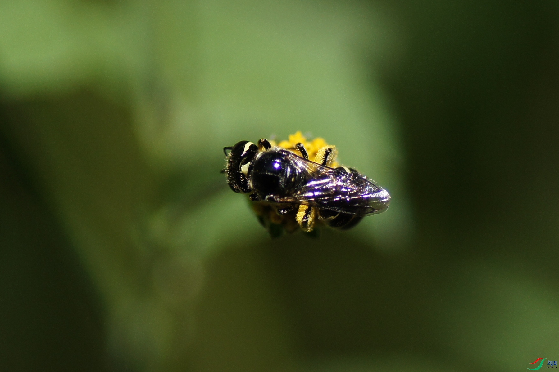 DSC00334.JPG