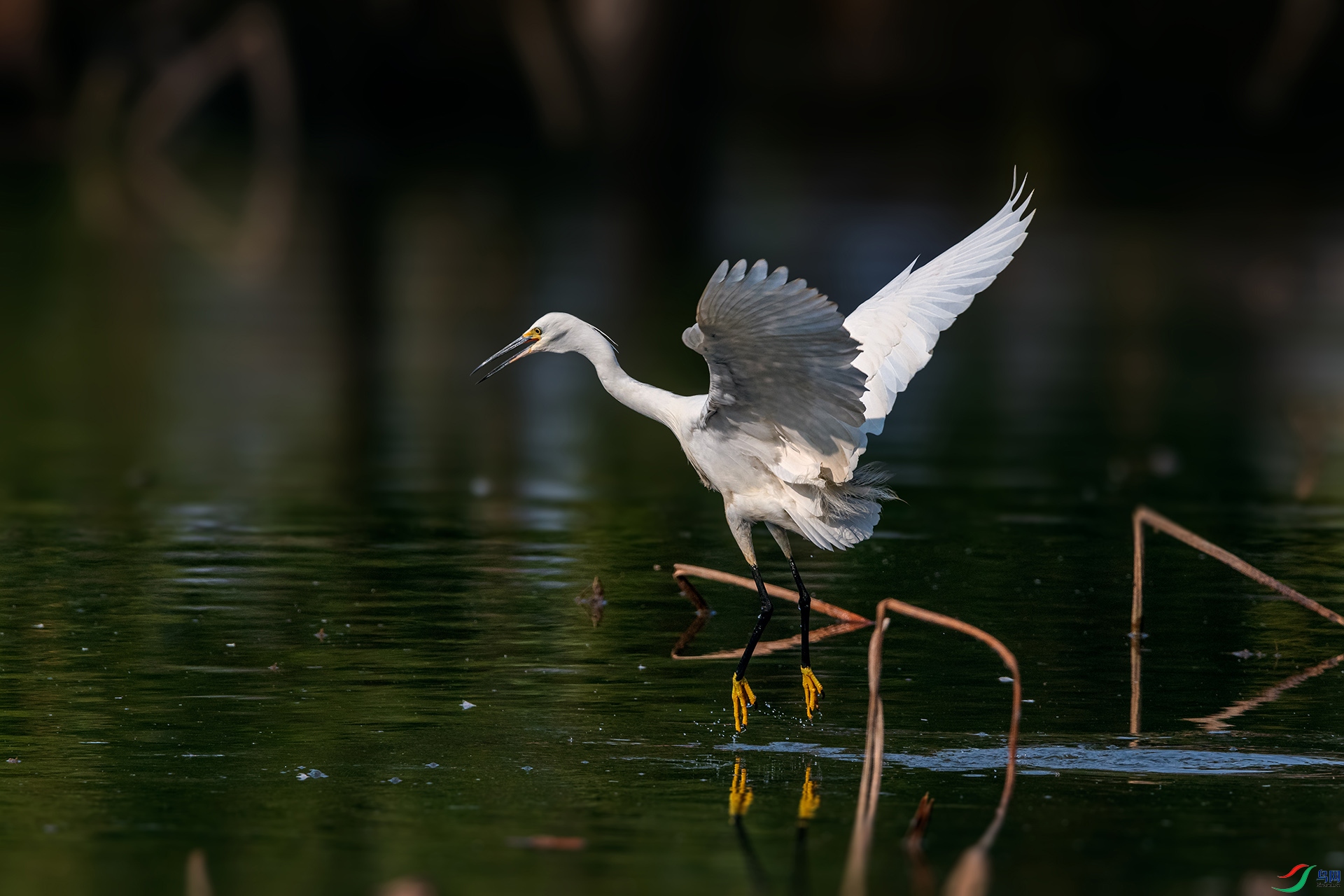 _AUU6433С����(25.2.15).jpg