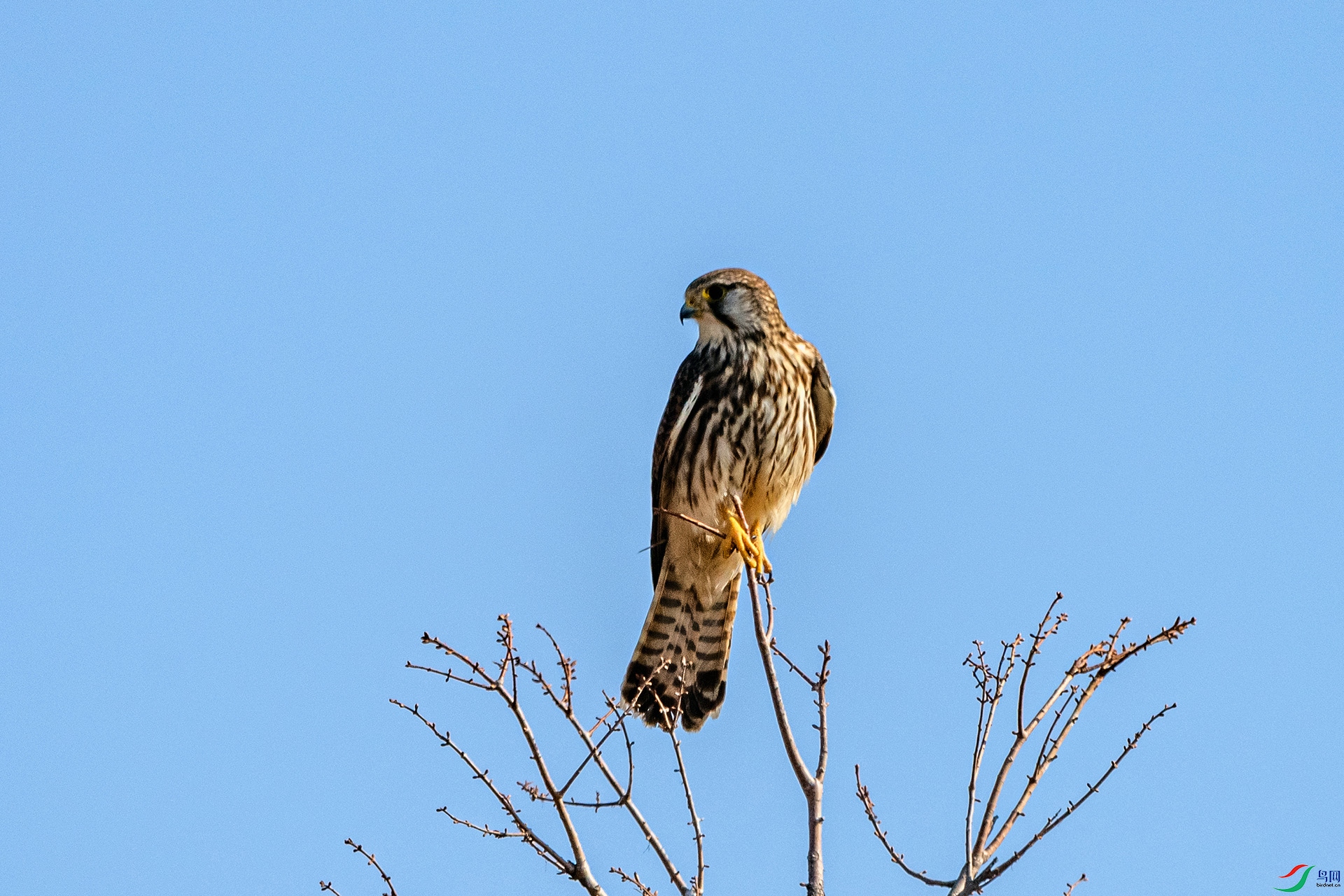 _AUU6680 ����(26.2.1).jpg