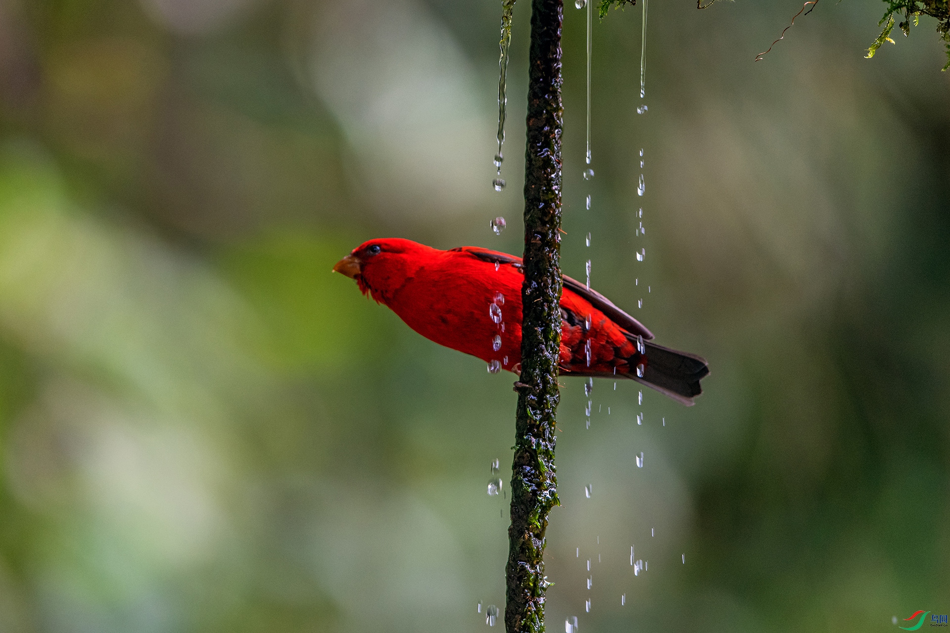 _AUU6752Ѫȸ(24.2.12).jpg