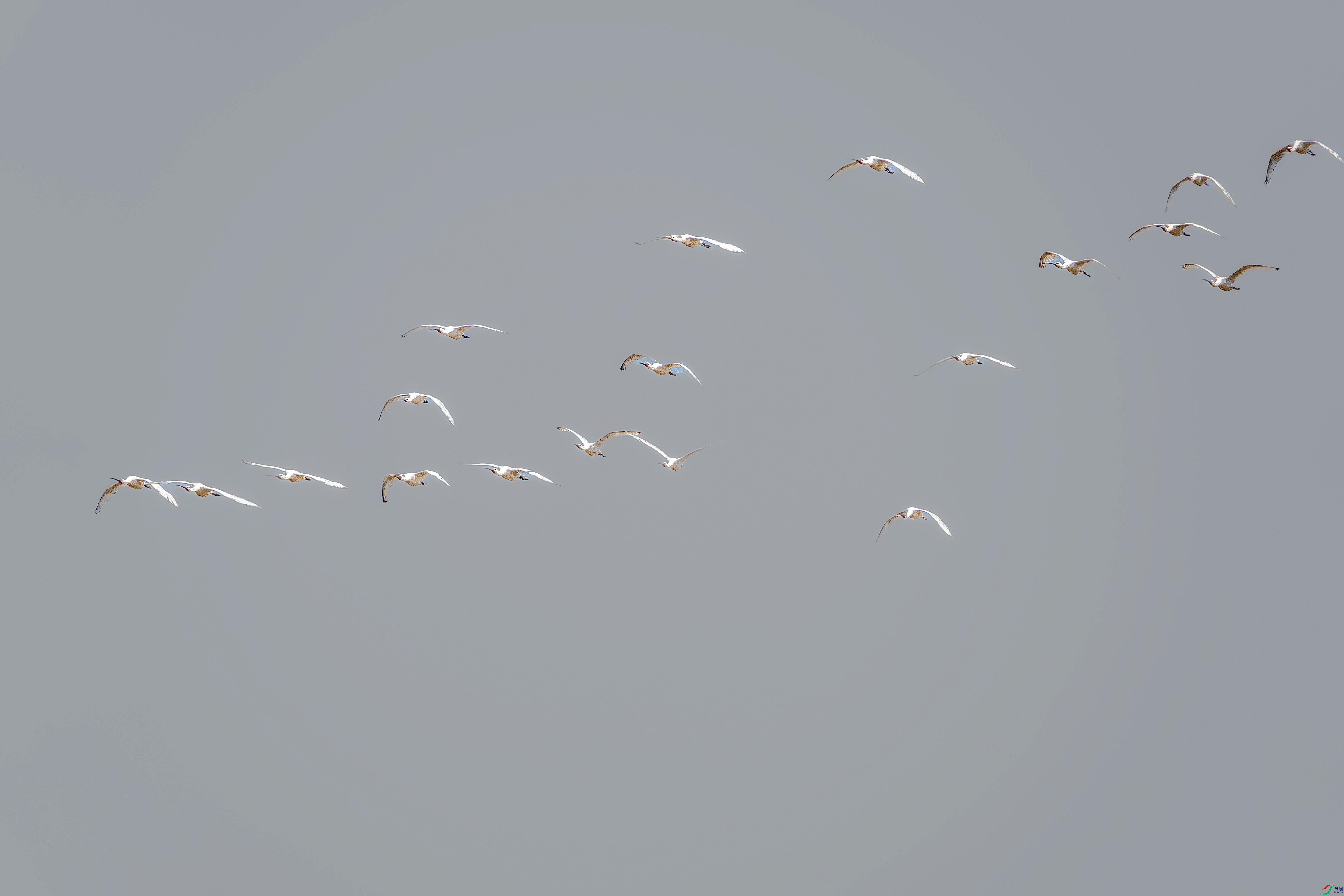 DSC09314 ����.jpg