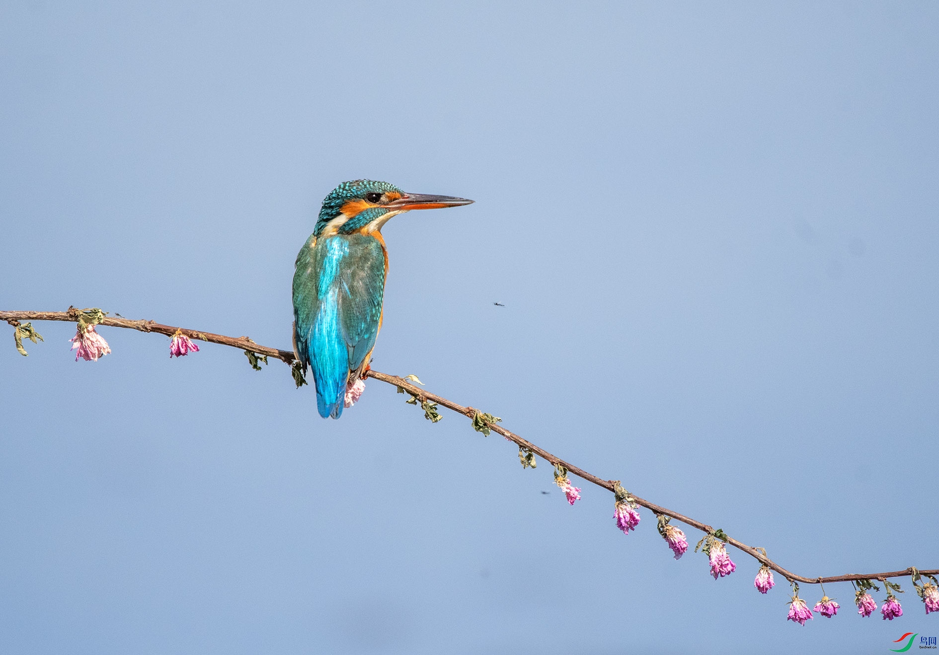 DSC_5807_��ͼ�� ����.jpg
