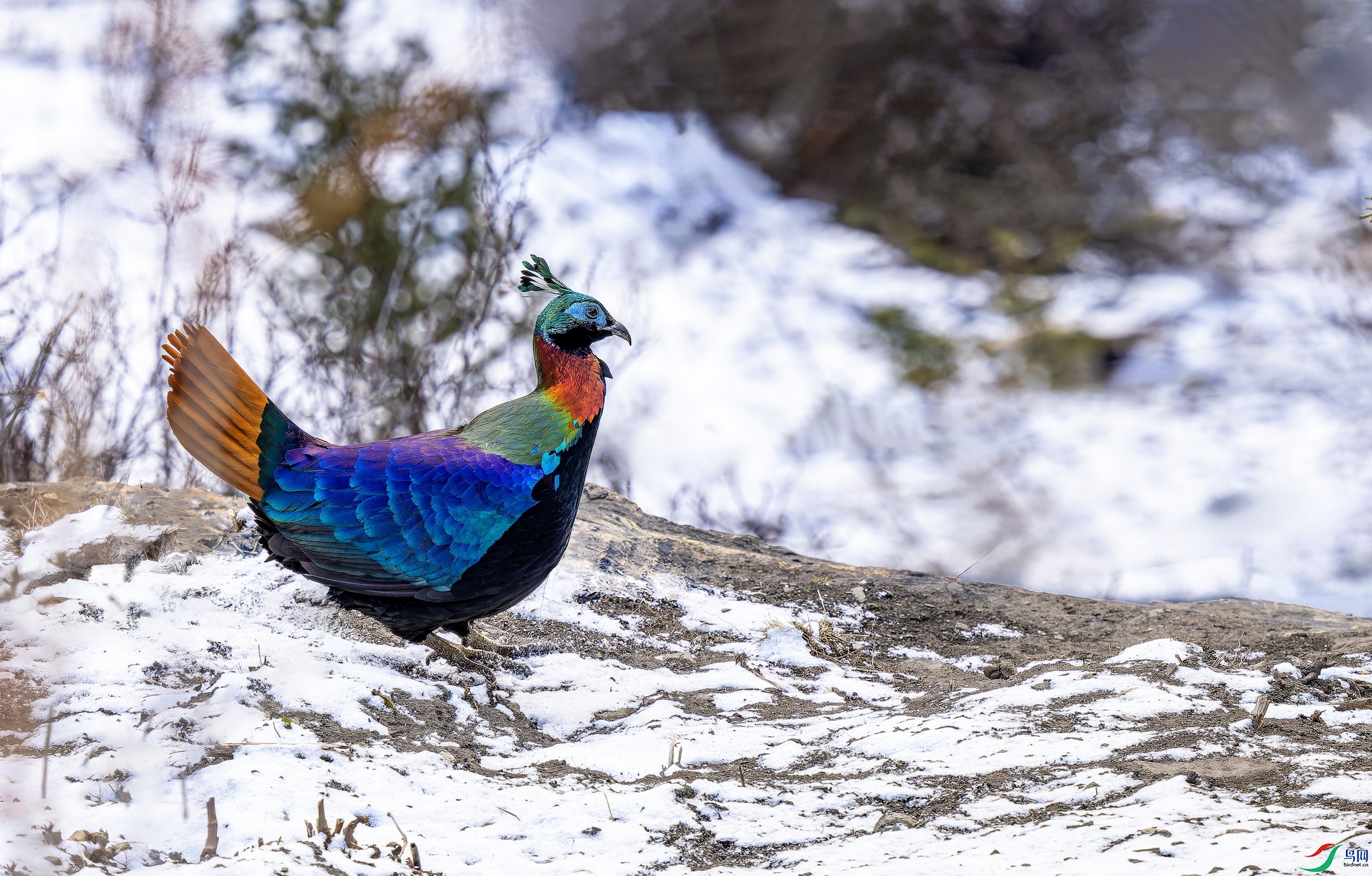 ��β������һ�� (5)-01.jpg