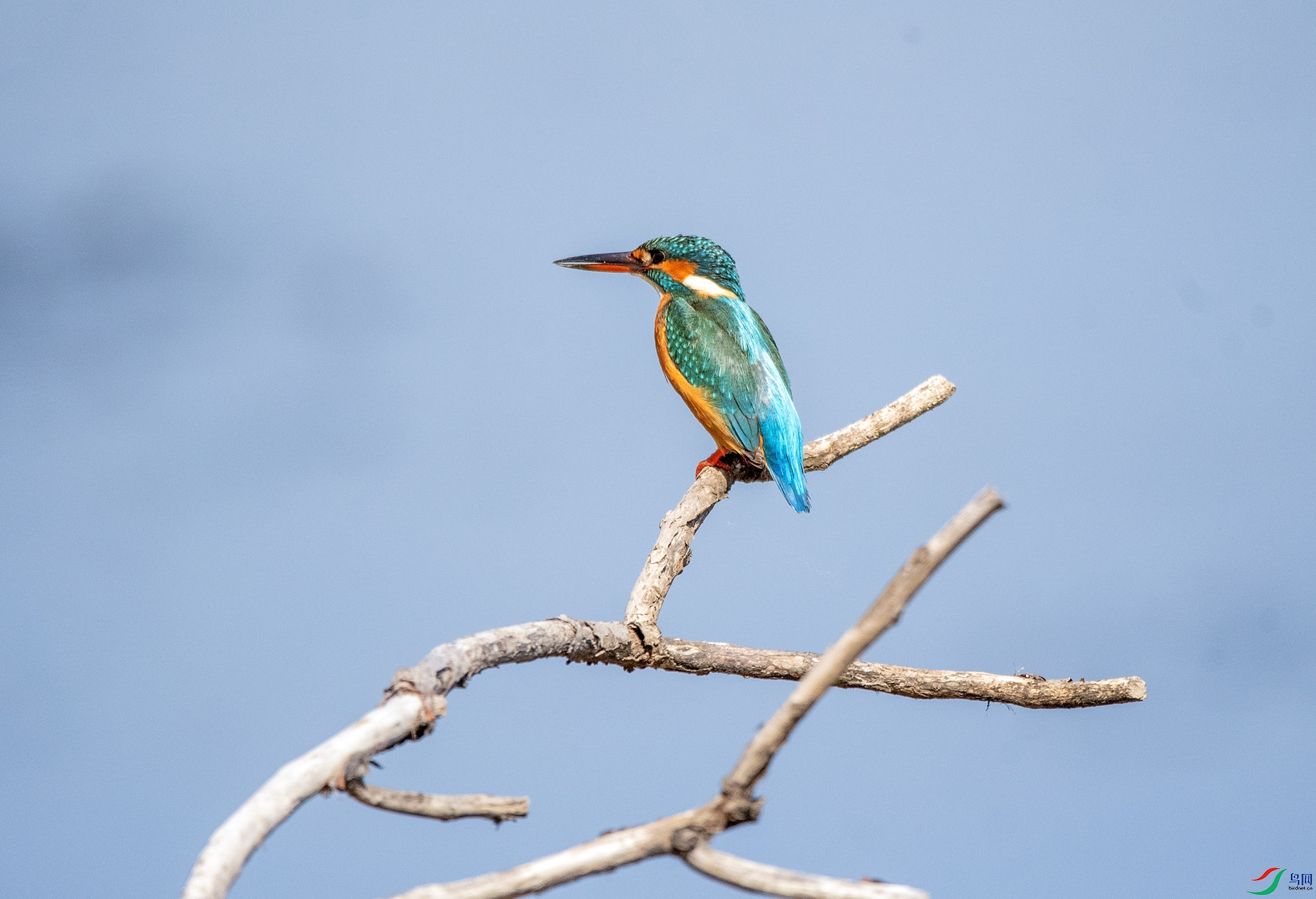 DSC_5832_��ͼ�� ����.jpg