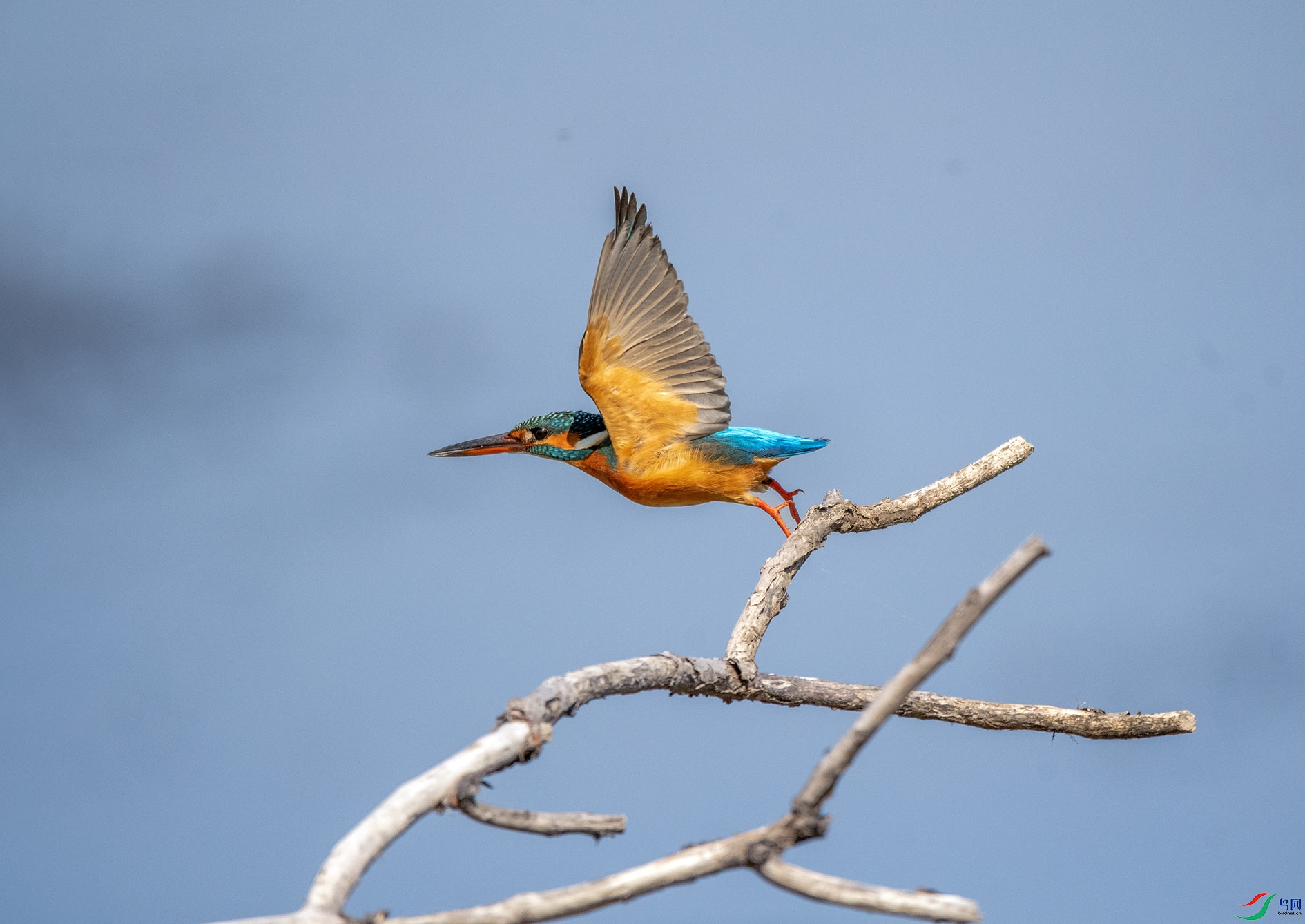 DSC_5833_��ͼ�� ����.jpg