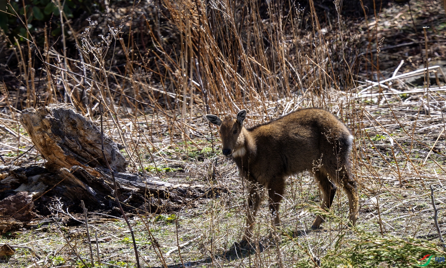 ϲ�����Ű��� (1)-01.jpg