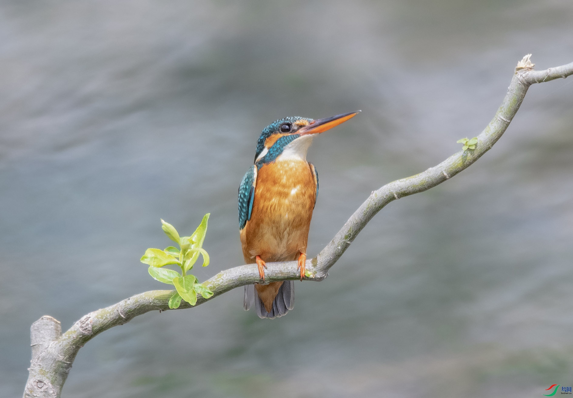 DSC_6276_��ͼ�� ����.jpg