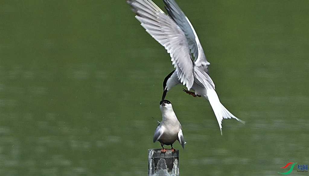 DSC_0058.JPG