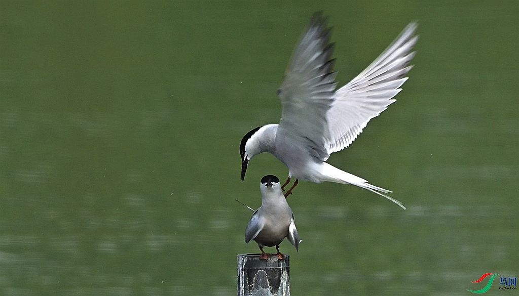 DSC_0069.JPG